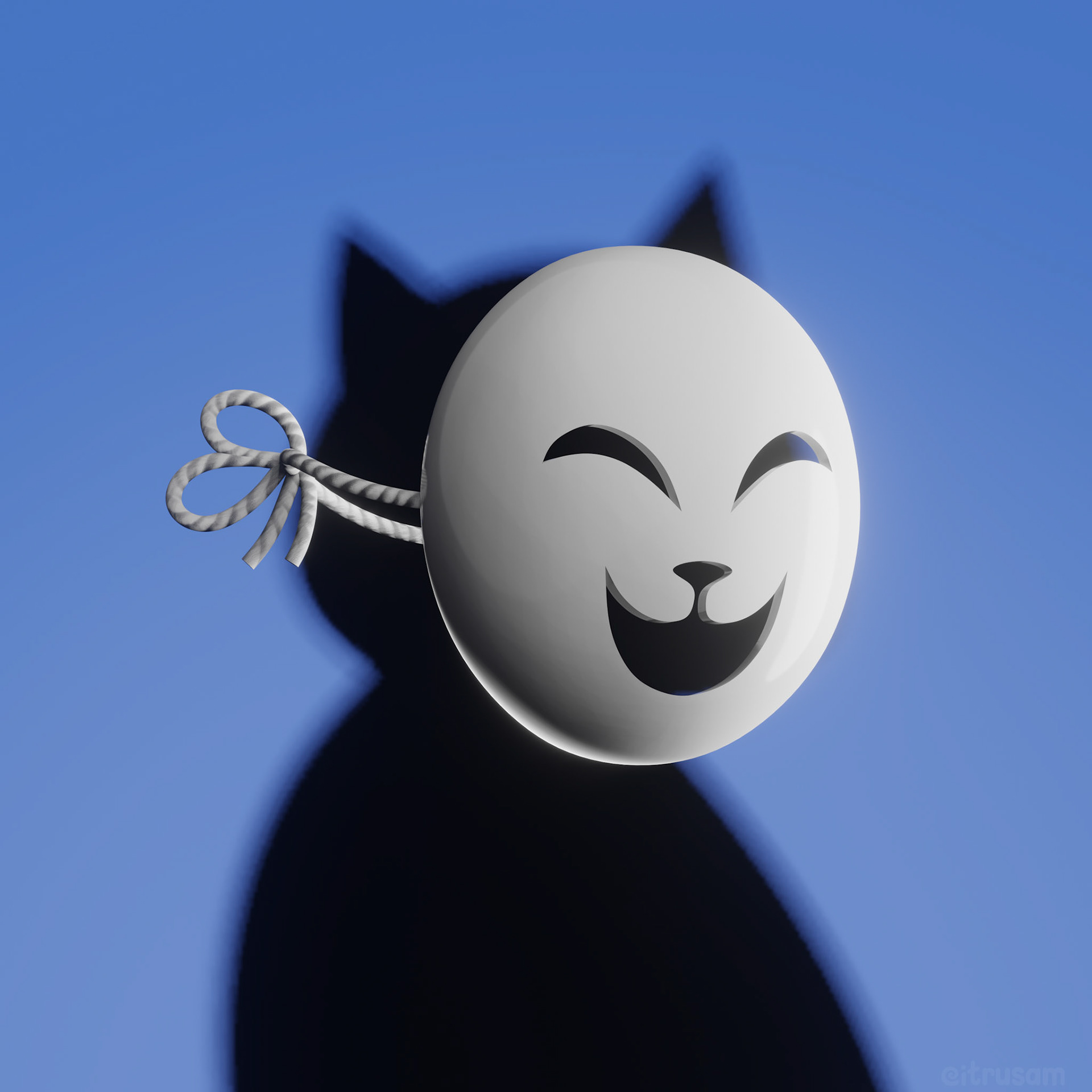 the cat's mask