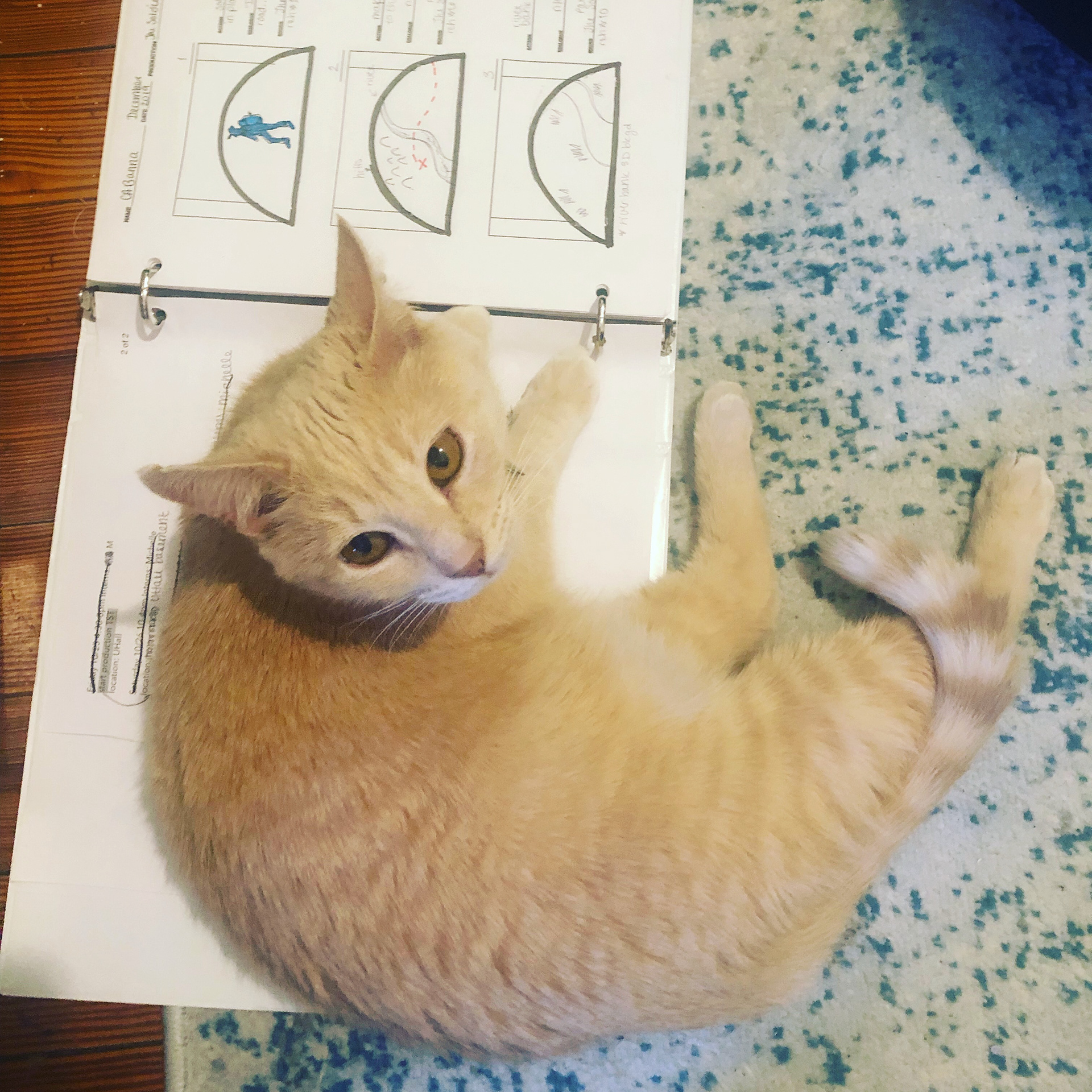 Mimi was helping with the storyboards