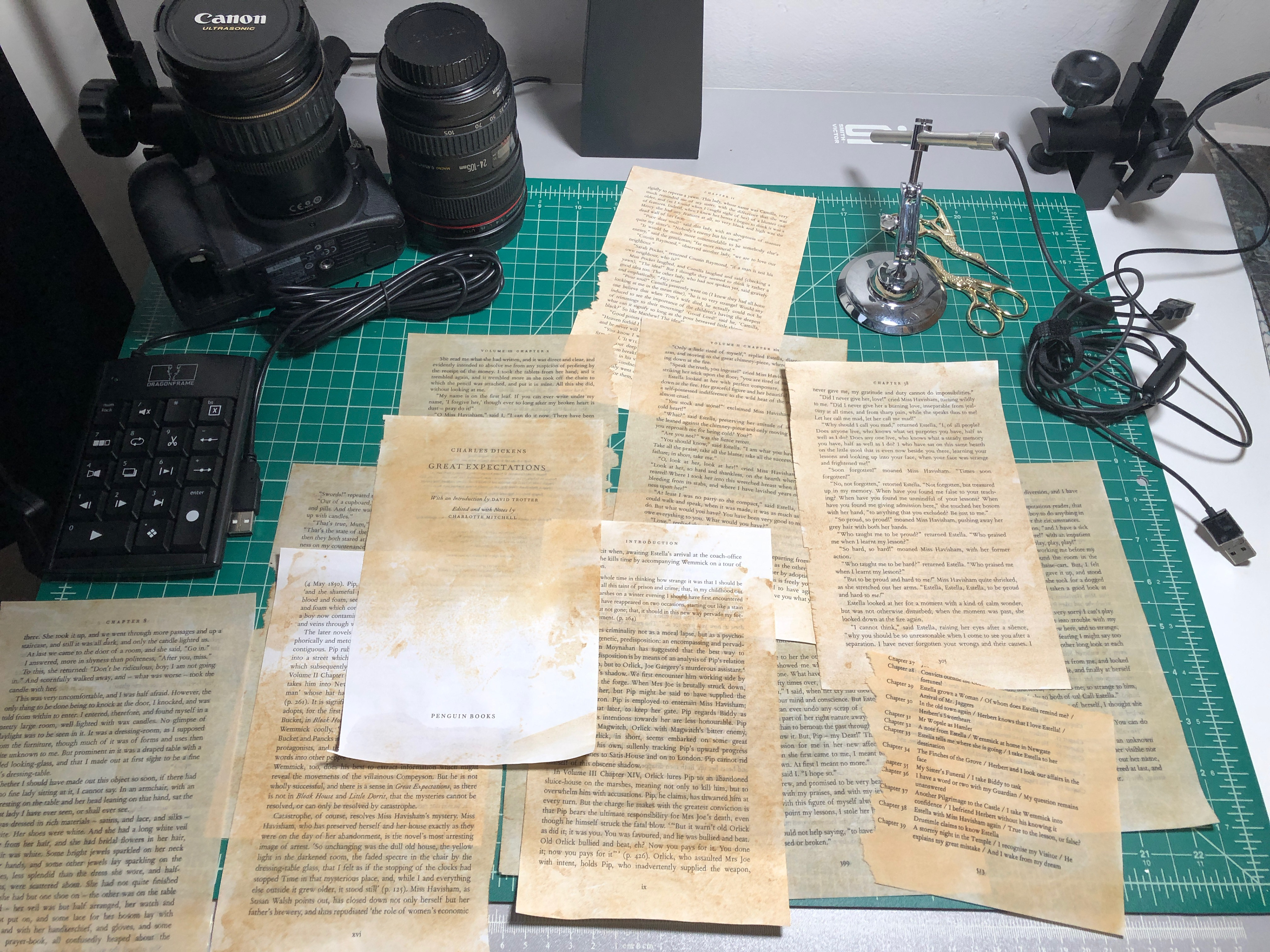 tea stained pages from "Great Expectations" ready to be animated with a USB microscope