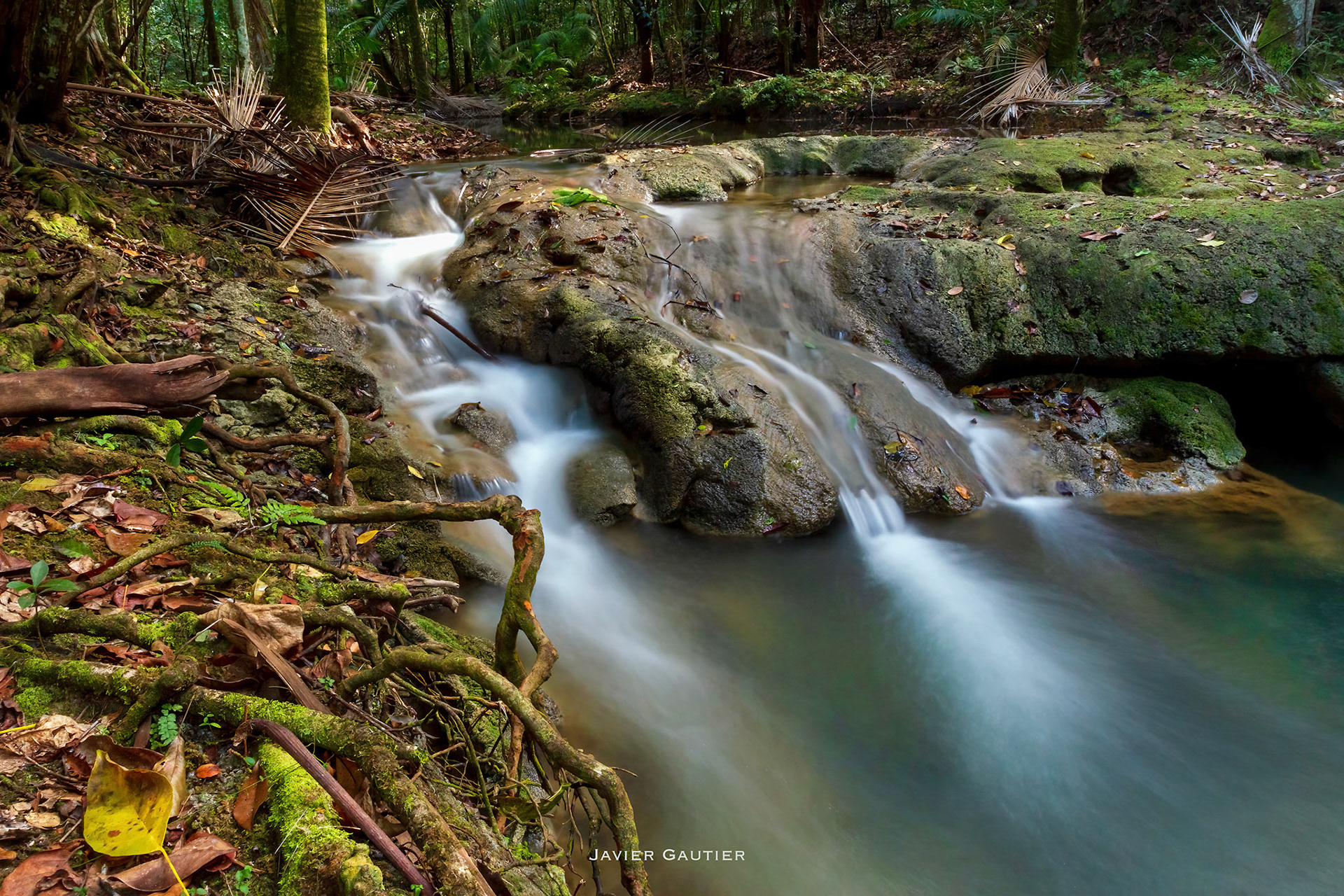 SOCOA RIVER, DOMINICAN REPUBLIC