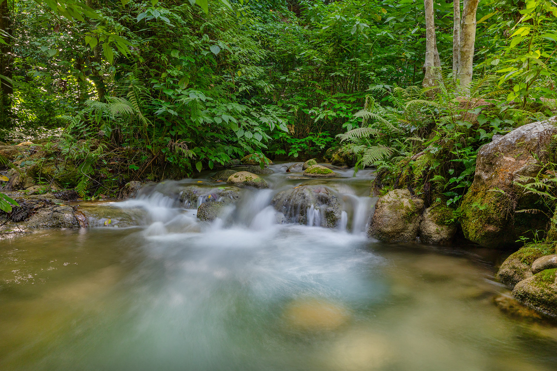 RIO MULITO, PERDERNALES, DOMINICAN REPUBLIC