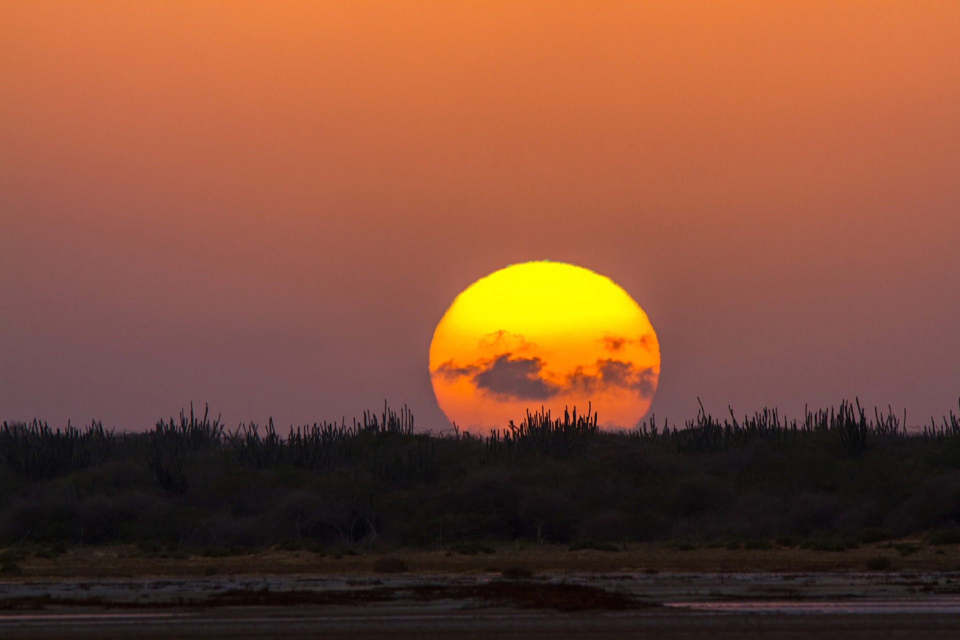 SABANA MARIGO, MONTECRISTI, DOMINICAN REPUBLIC