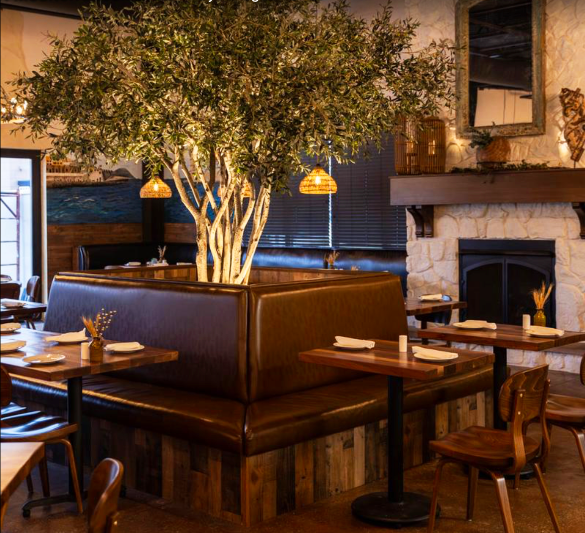 Olive Tree Brand - Interior