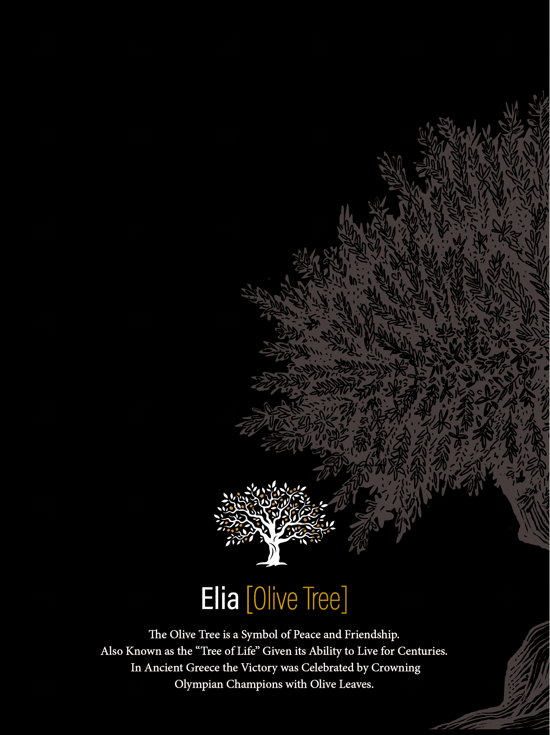 Dinner Menu Design - Back Cover