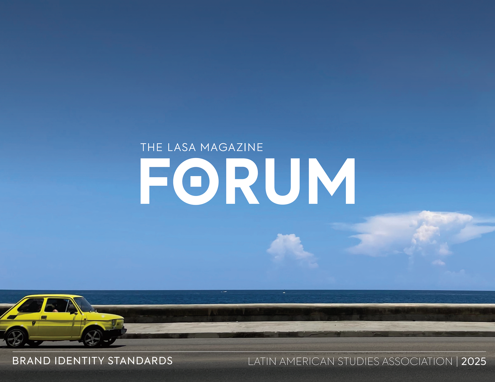 Latin American Studies Association - Brand Manual