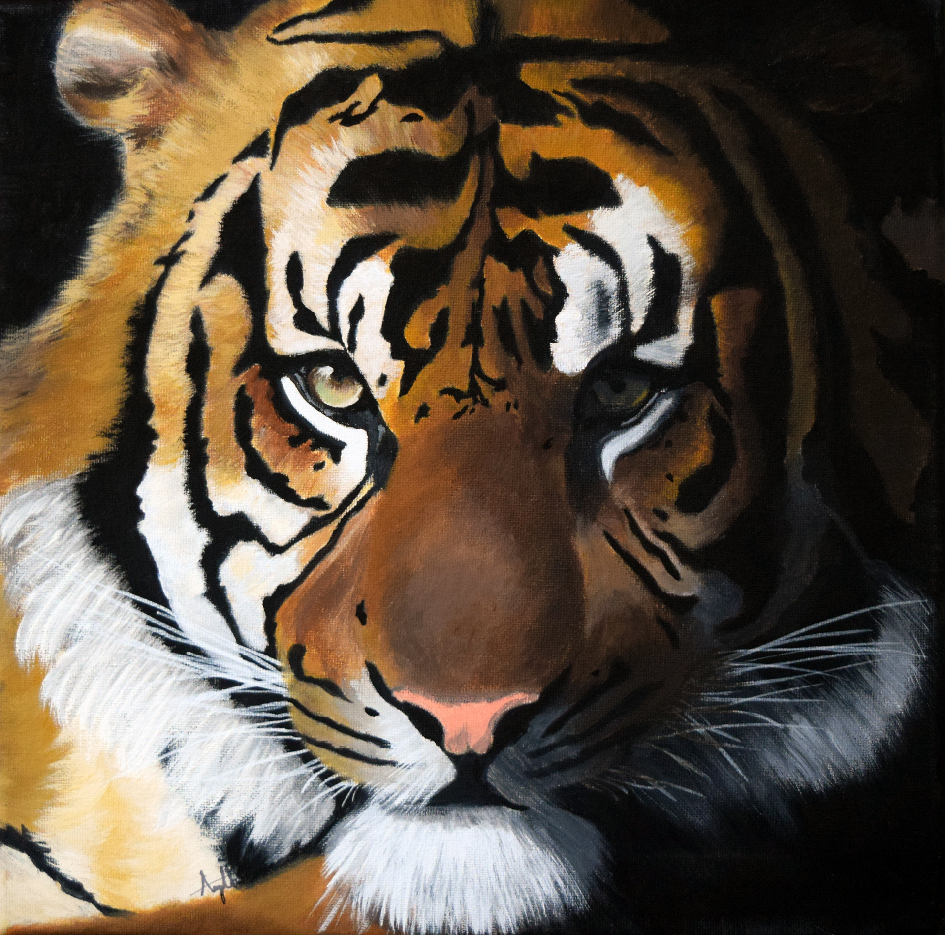 001    Study (Tiger)    2018
