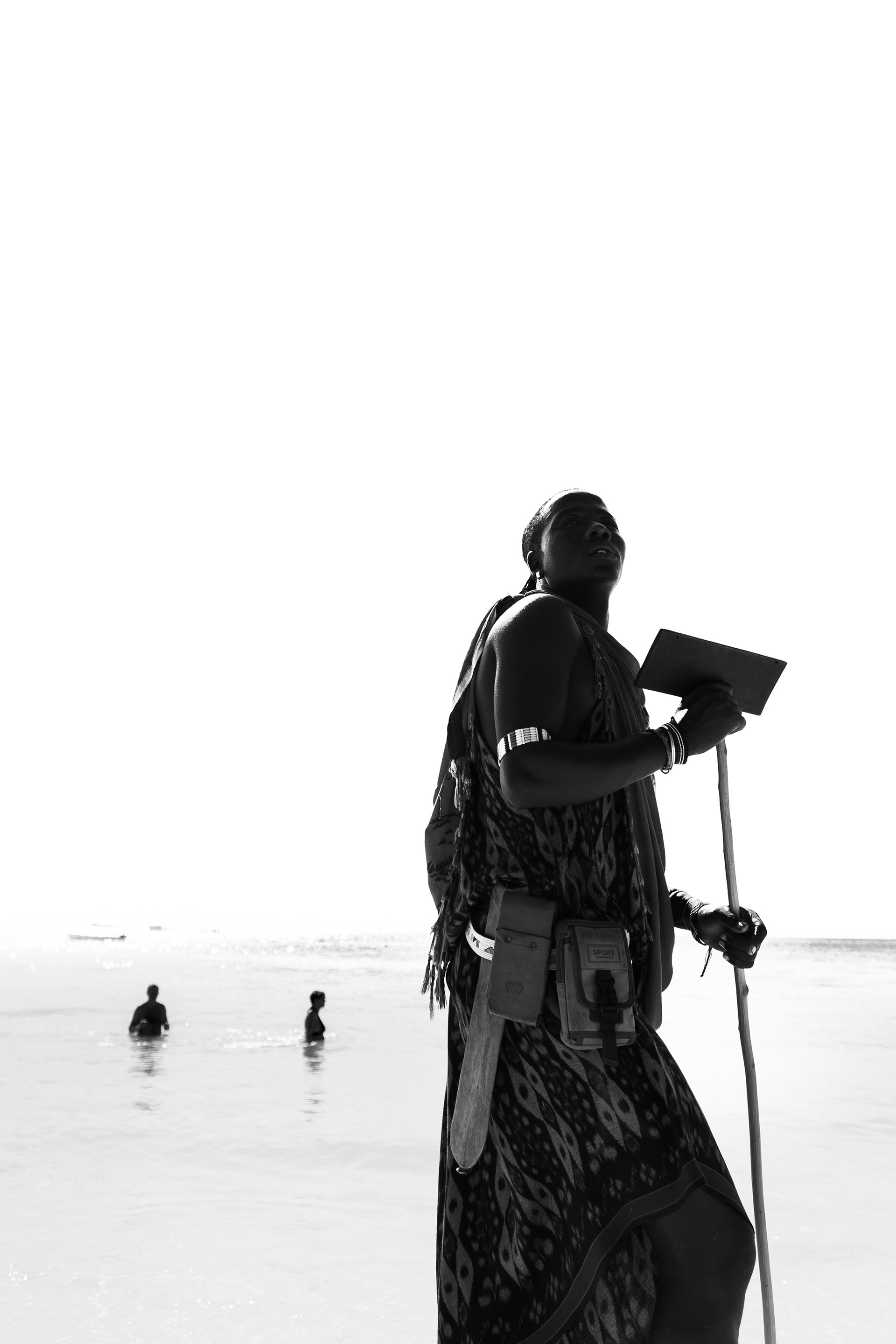 3036