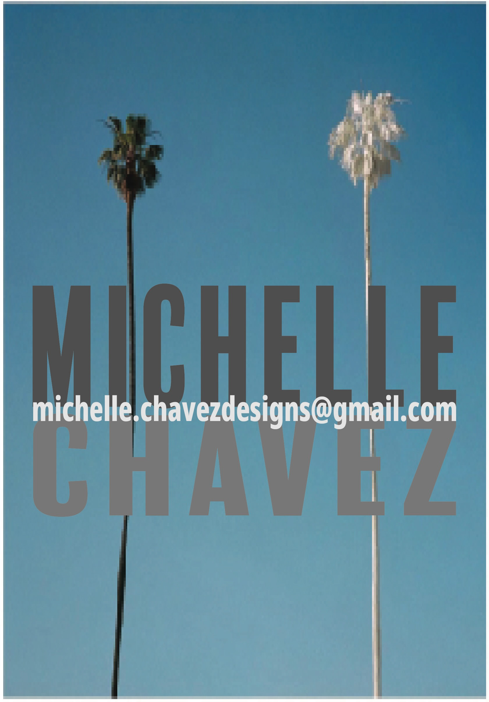 michelle chavez