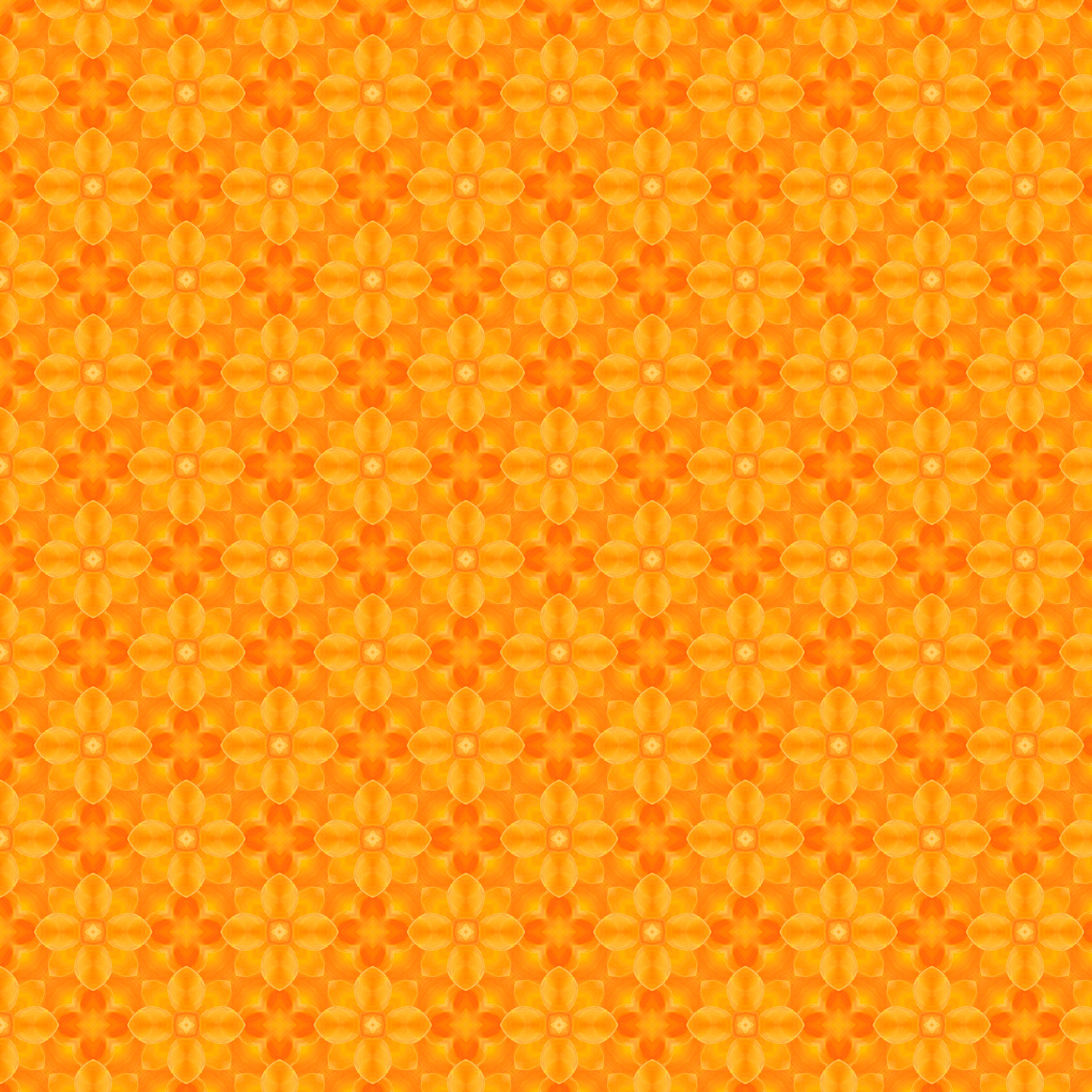 Bright Orange 3
