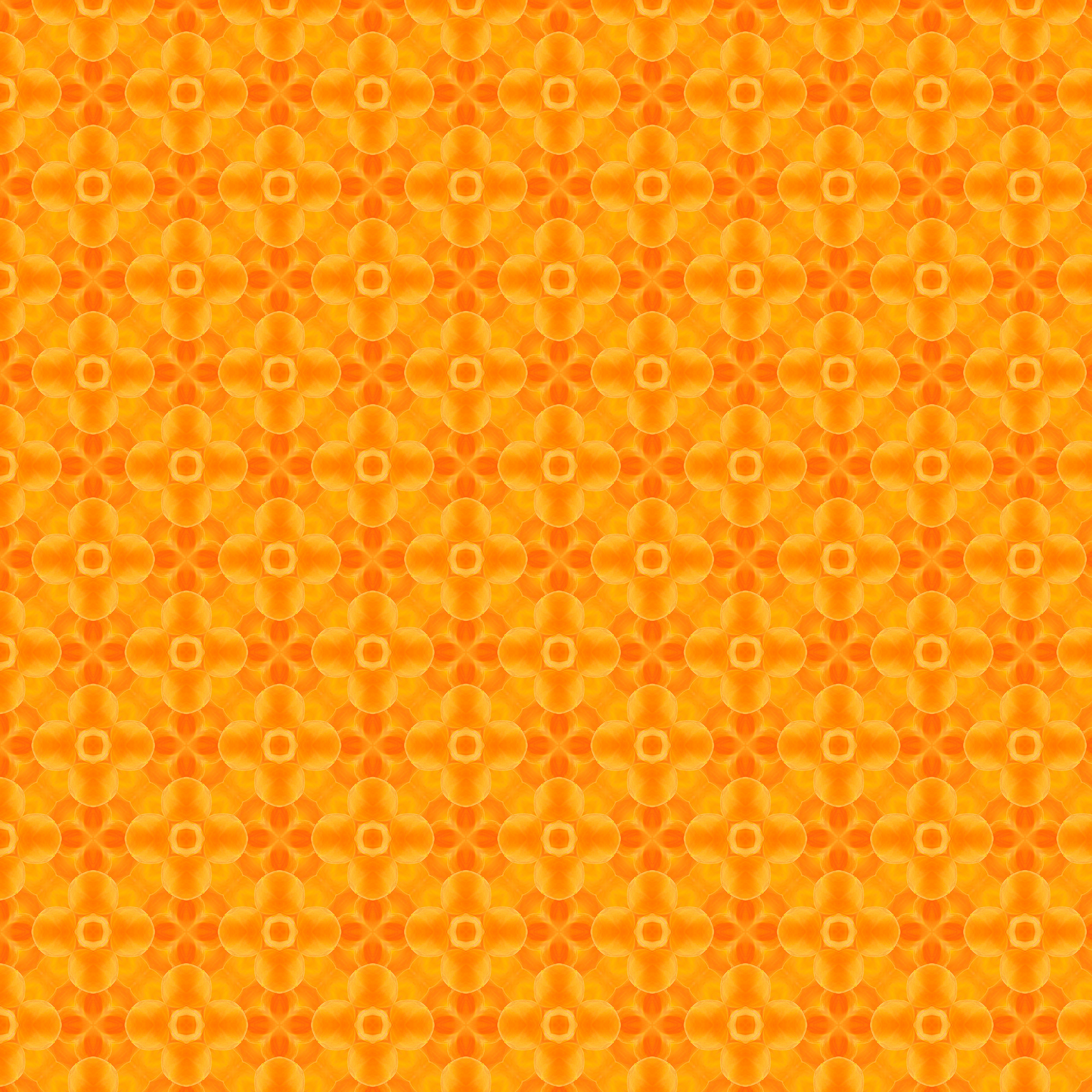 Bright Orange 6