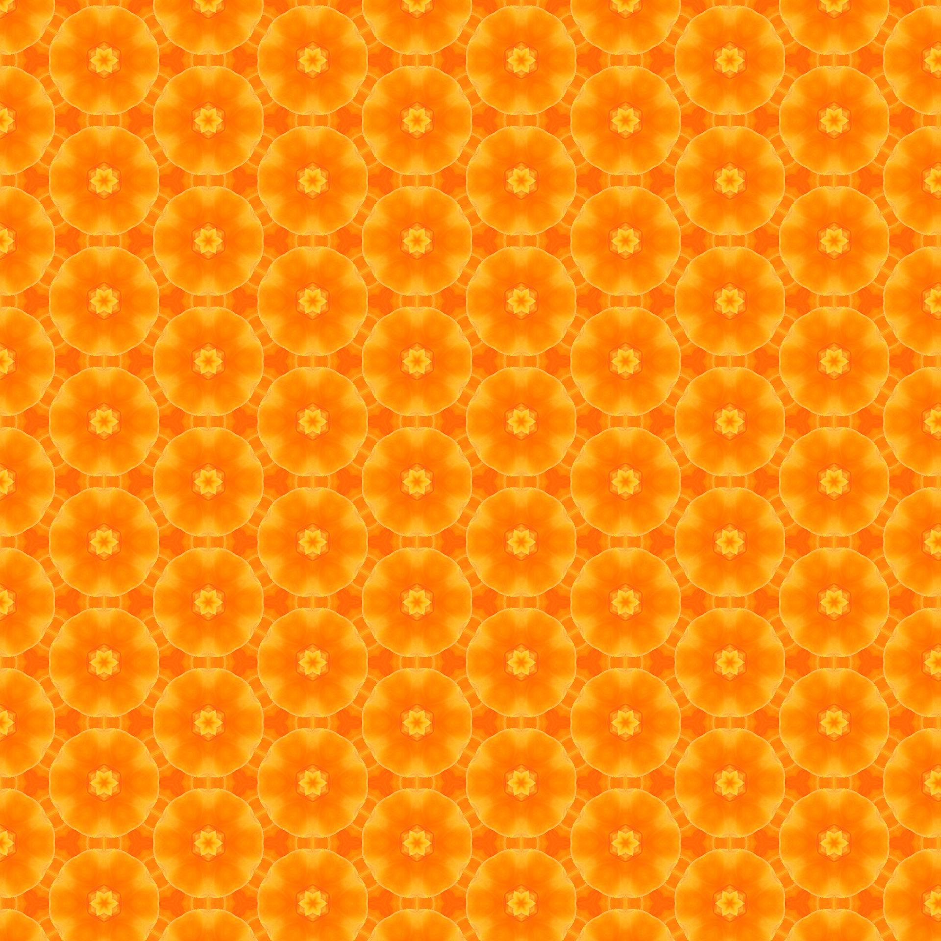 Bright Orange 7