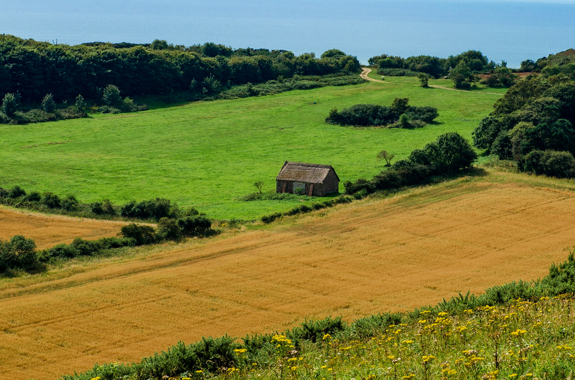 Brighstone Down, Isle of Wight, UK