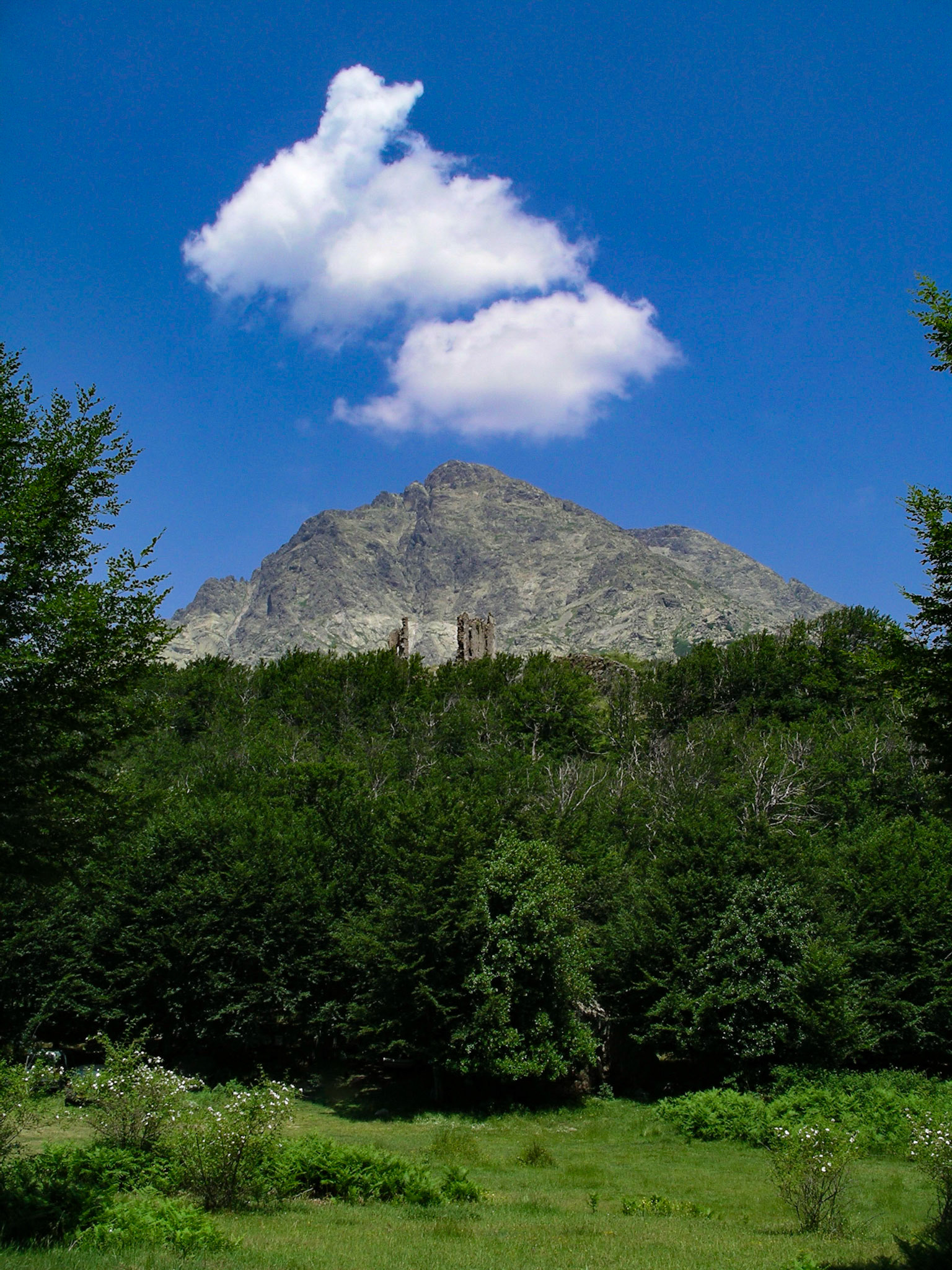 Le fort de Vaux, Corsica