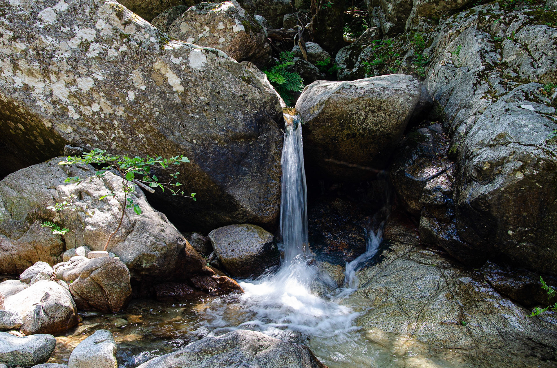 Ravin de l'Ospedale, Corsica