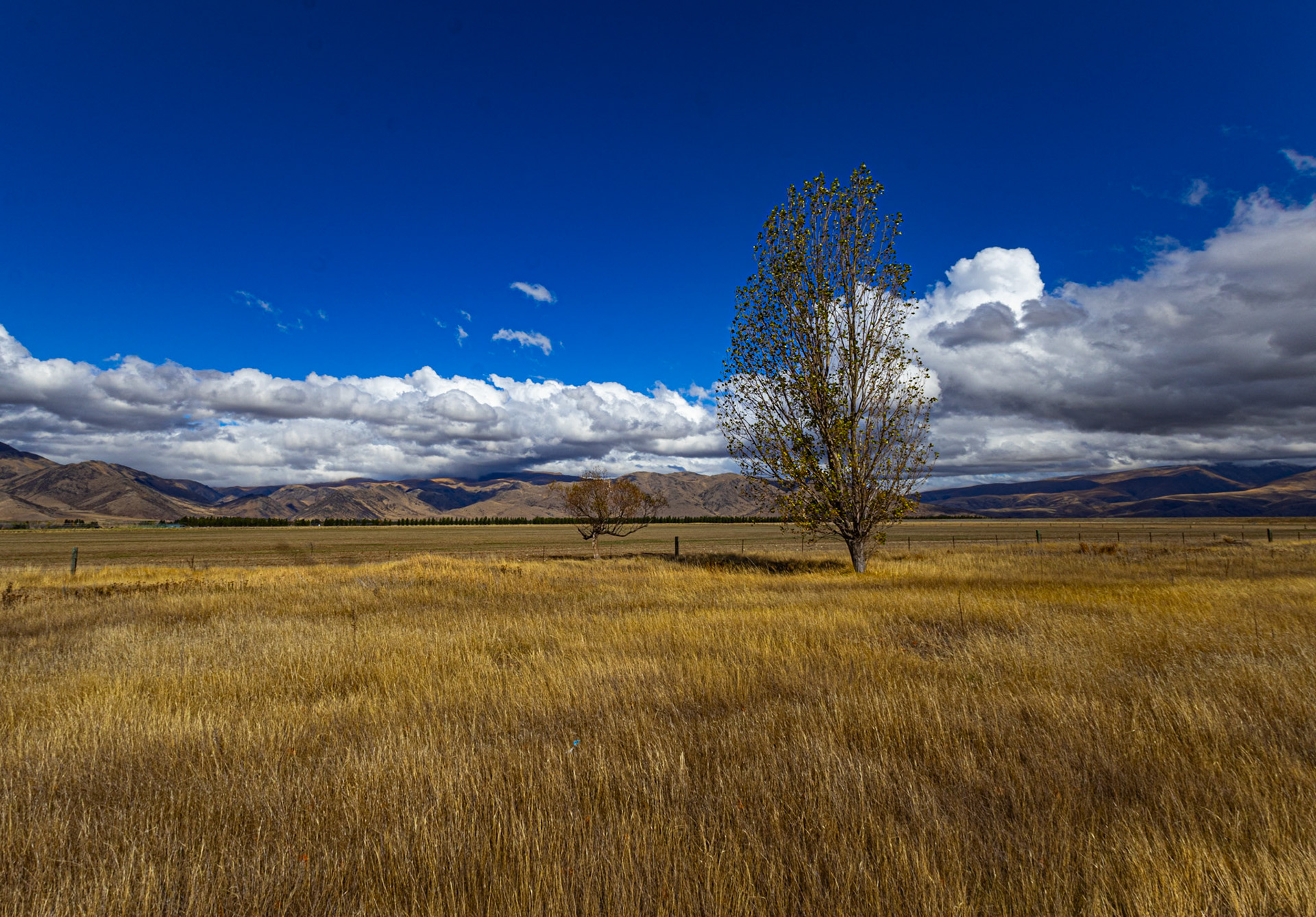 Omarama, New Zealand
