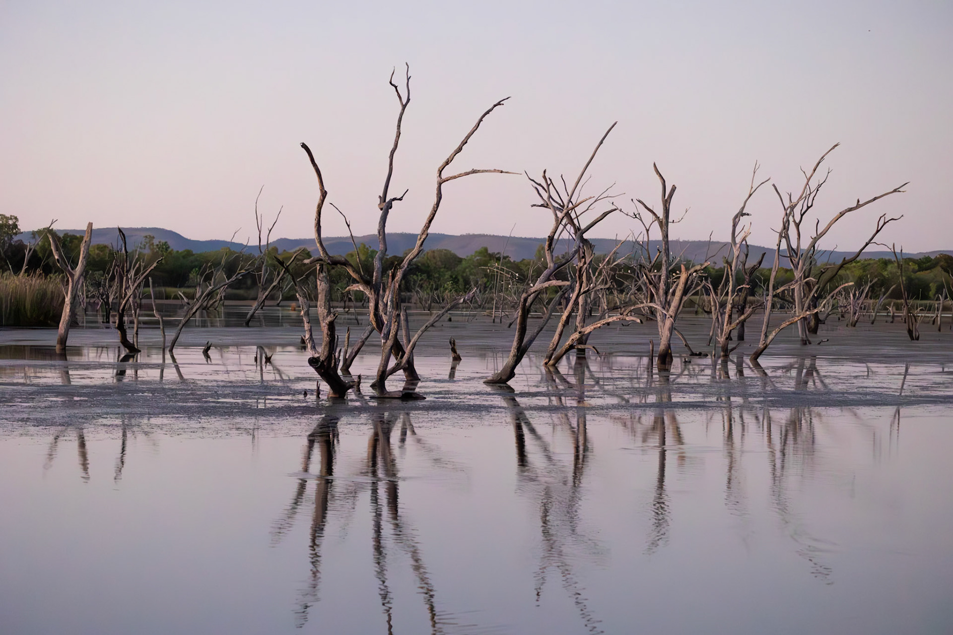 Lily Creek Lagoon. Kununarra, WA