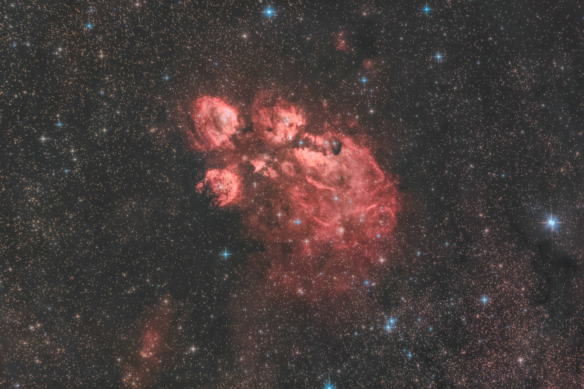 Cats Paw Nebula from Palm Beach