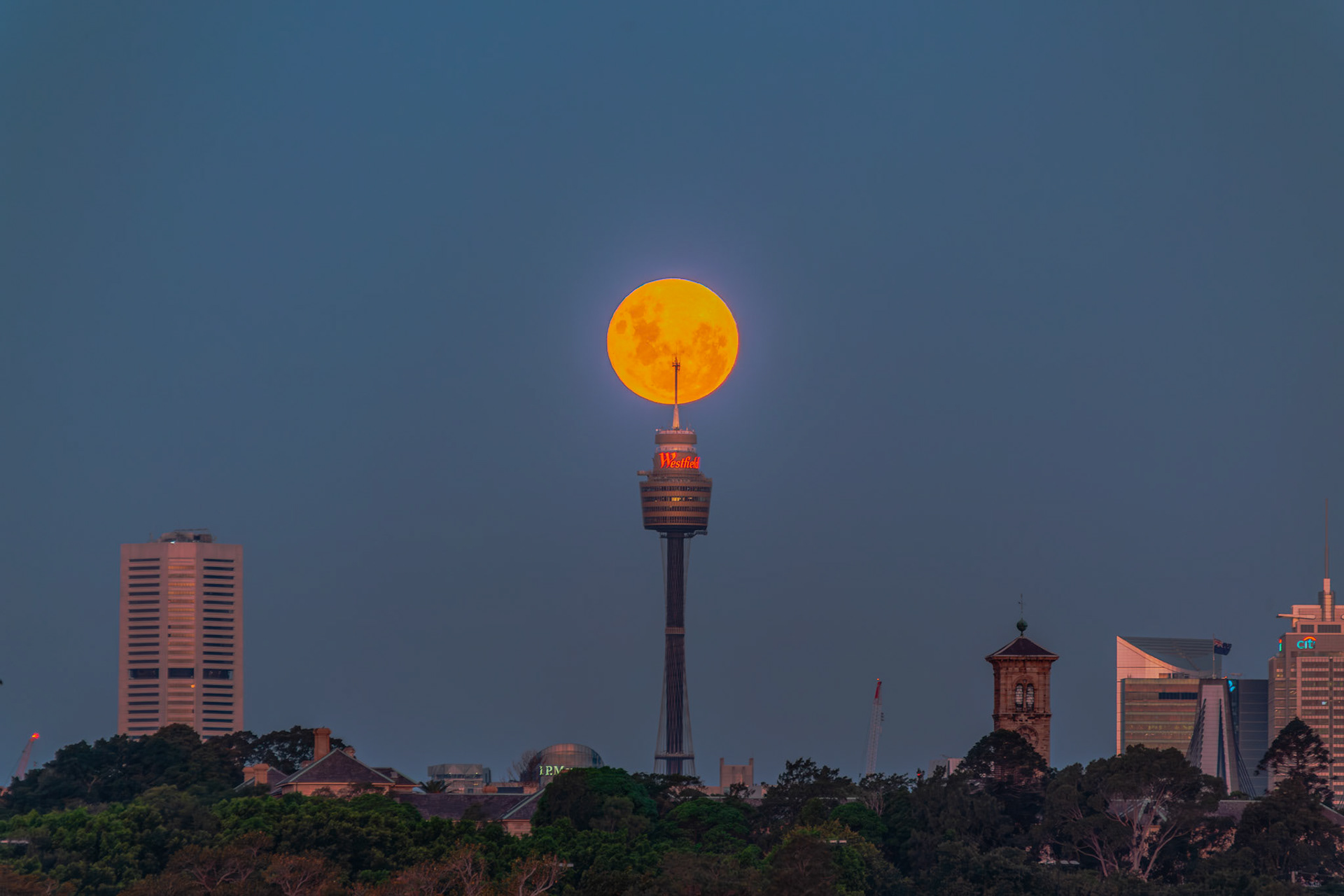 Full Moon behind Sydney Tower Eye