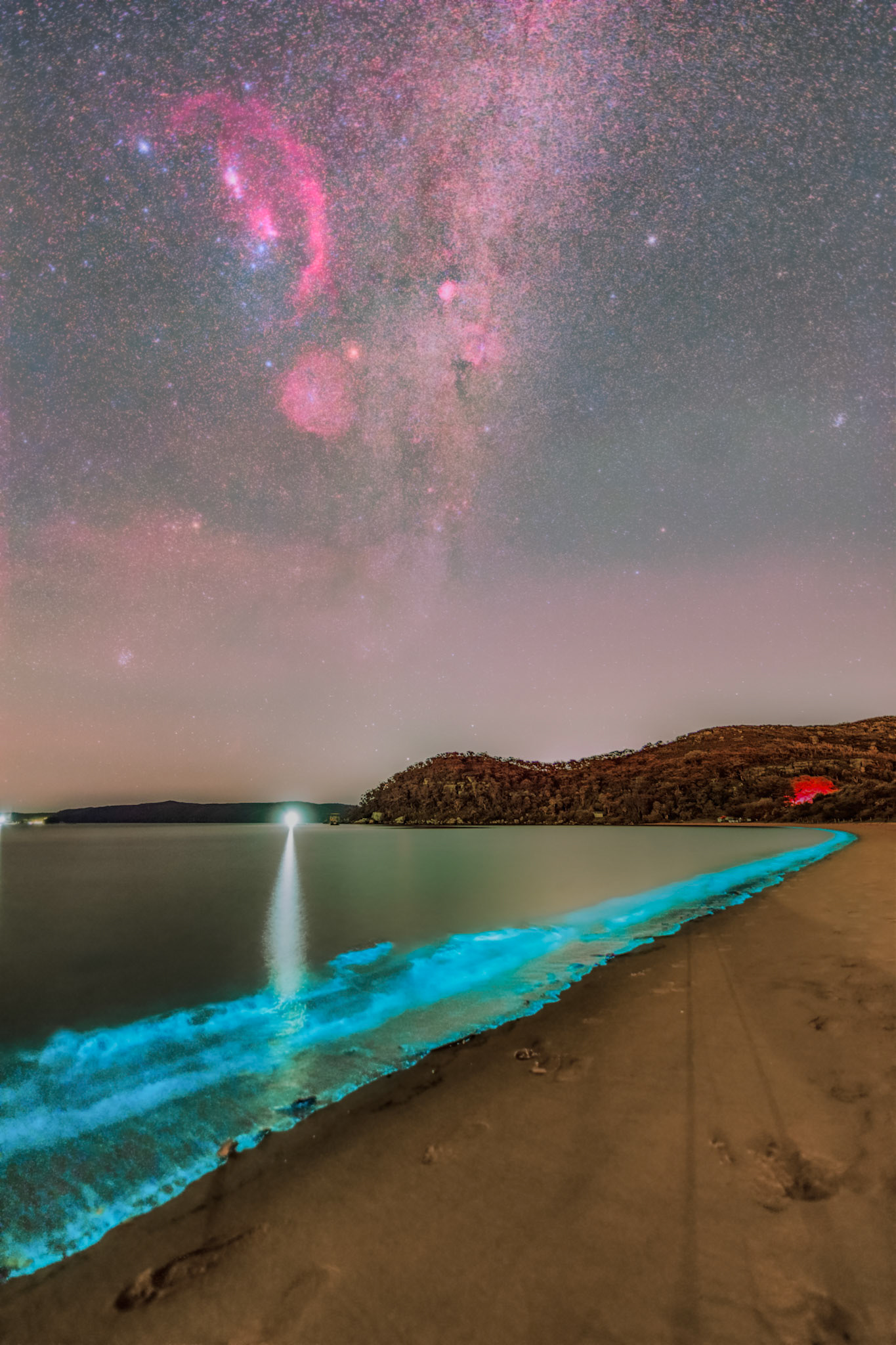 Orion and Bioluminescent water at Palm Beach