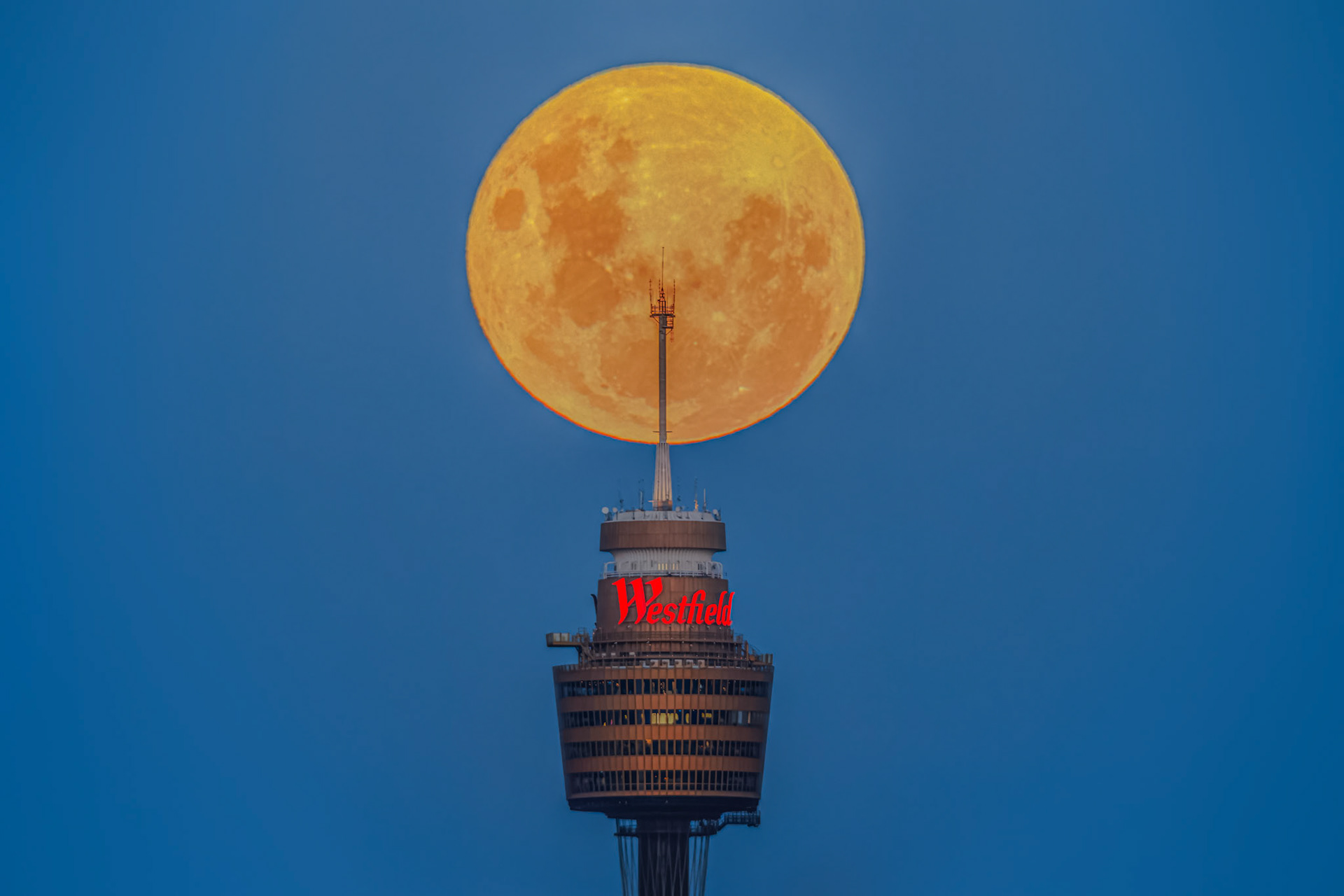 Full Moon behind Sydney Tower Eye