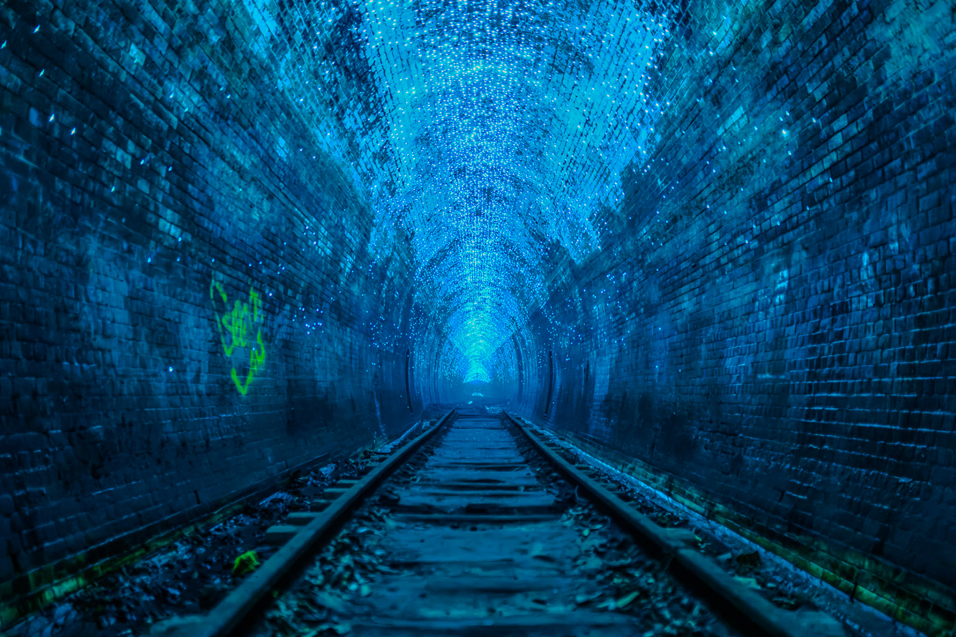 Glow Worms in Helensburgh Tunnel