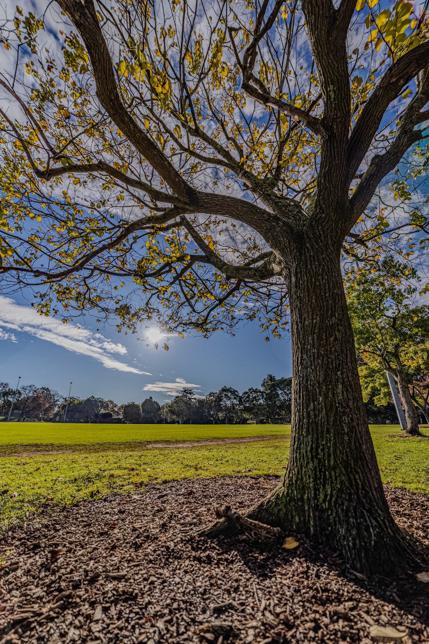 St Ives Village Green after the rain