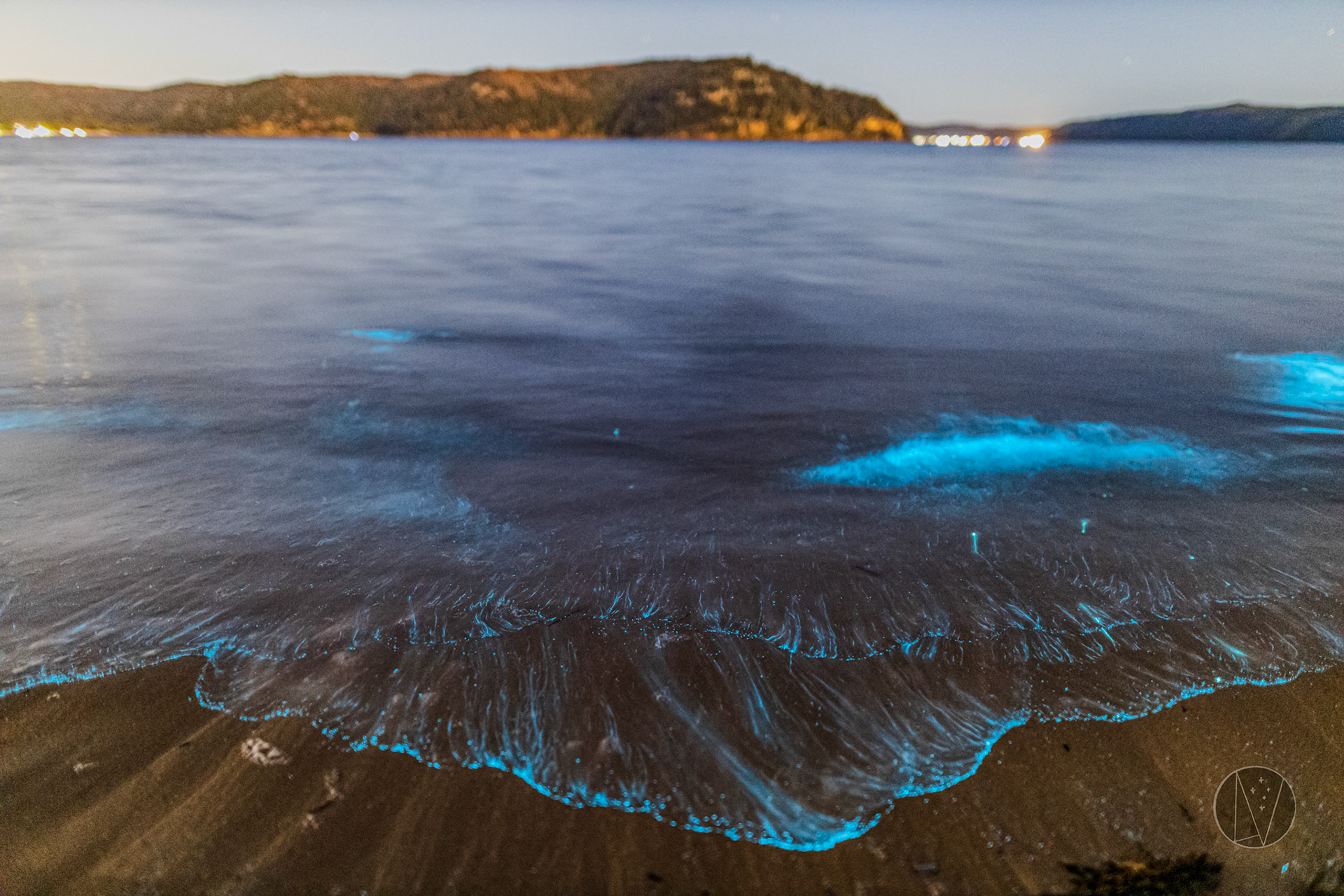 Bioluminescent Water at Palm Beach