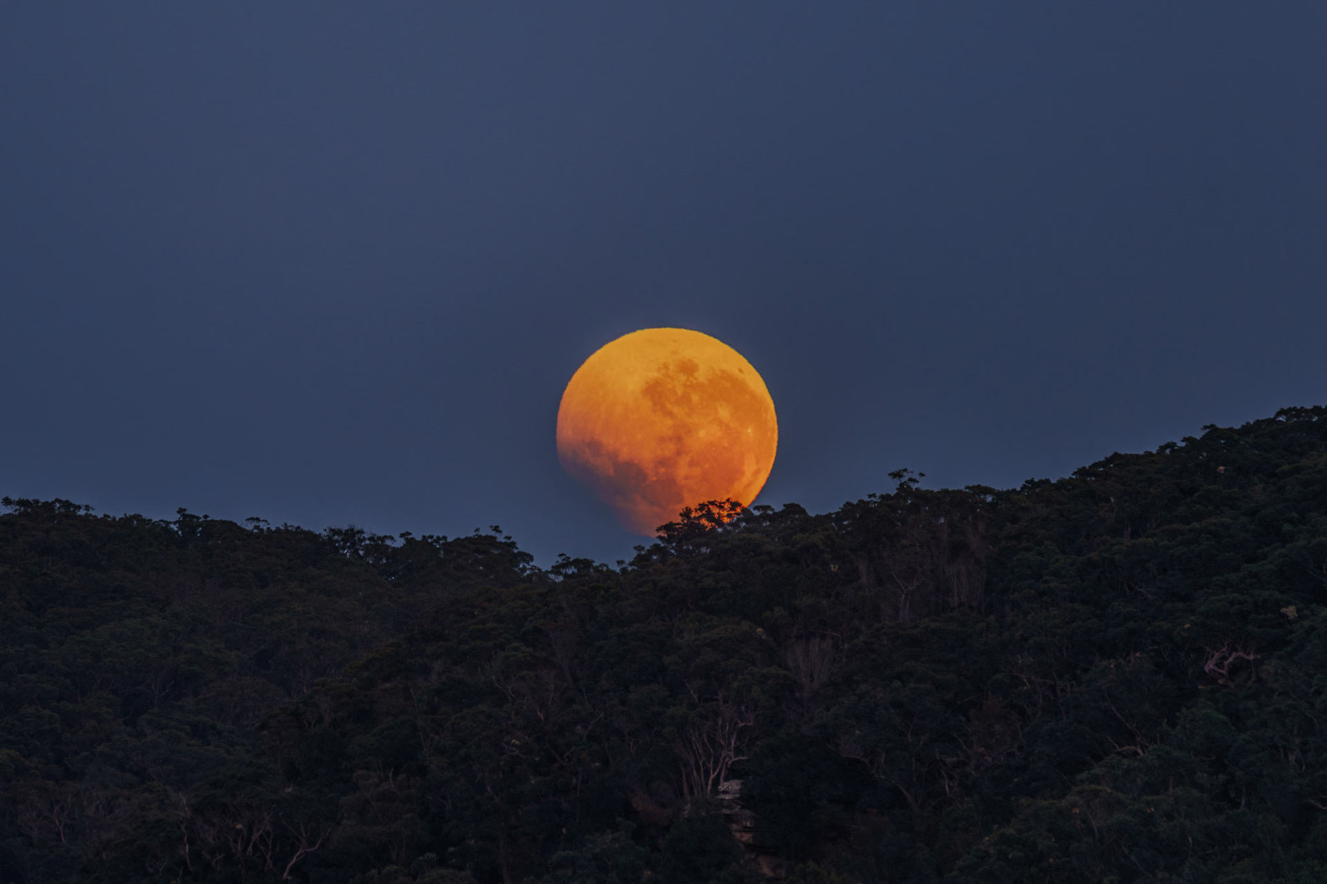 Eclipsed Moon setting over West Head