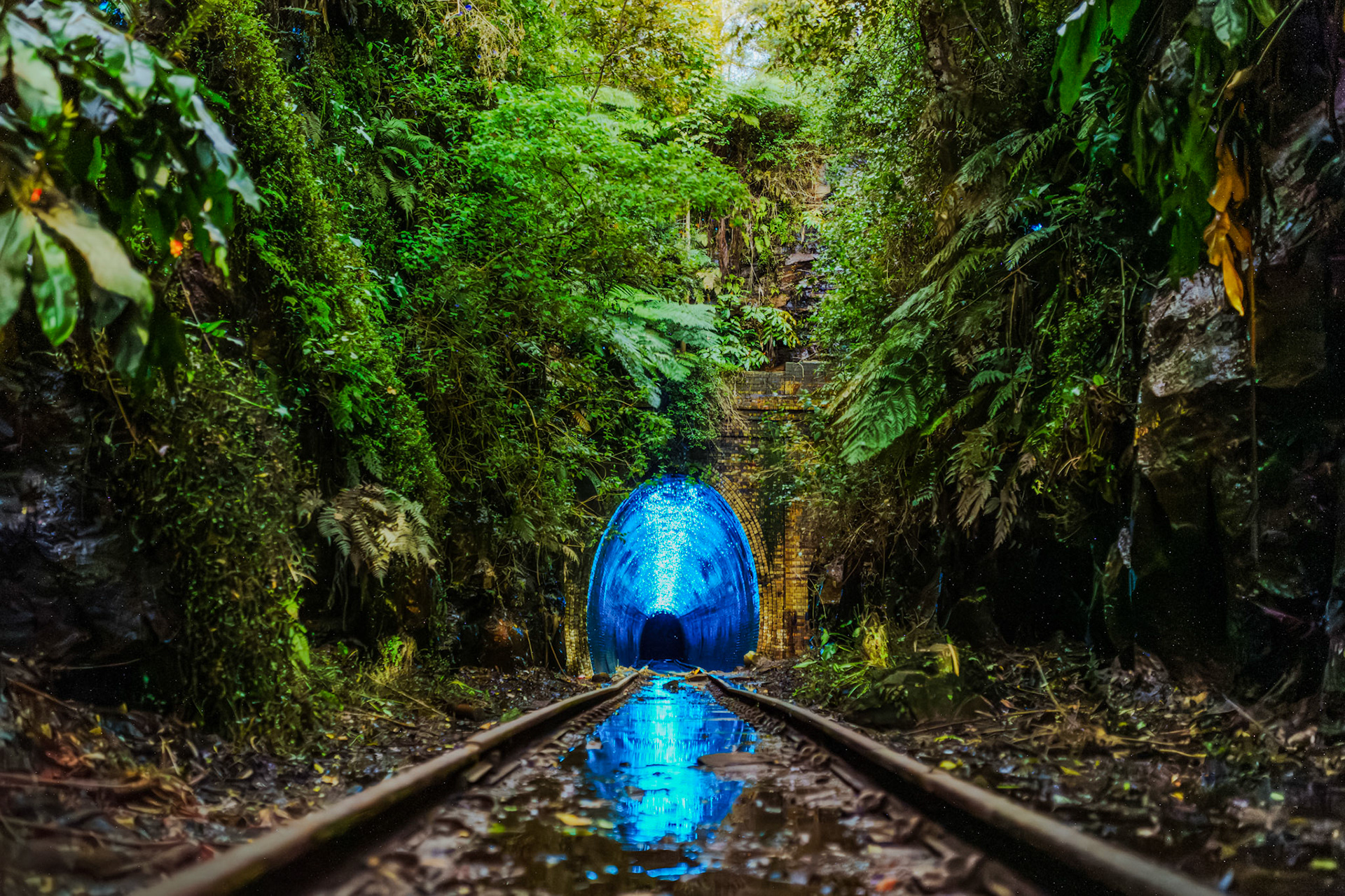 The glow worms of Helensburgh Tunnel