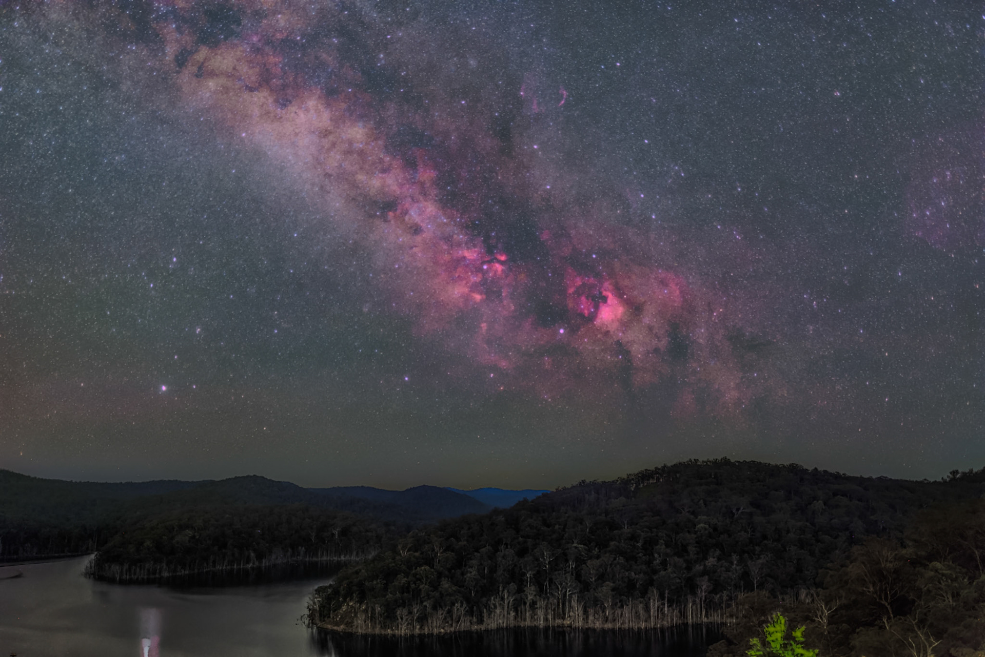 Cygnus over Mangrove Lake