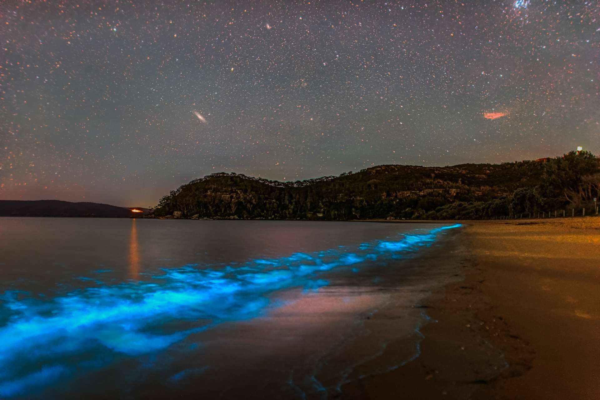 Bioluminescent Water at Palm Beach
