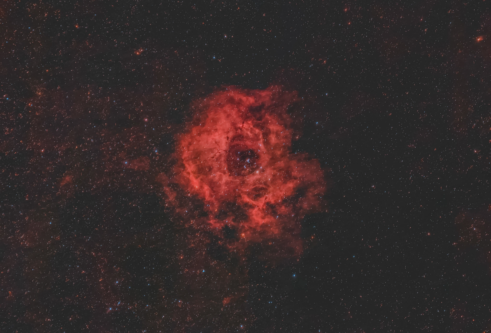 Rosette Nebula from Palm Beach