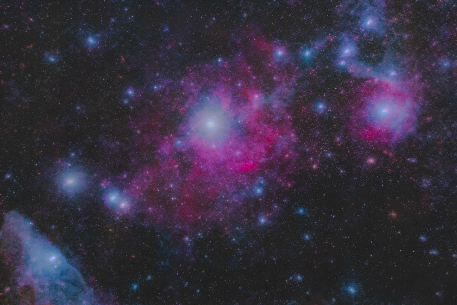 Head of Scorpius from Jerrawa