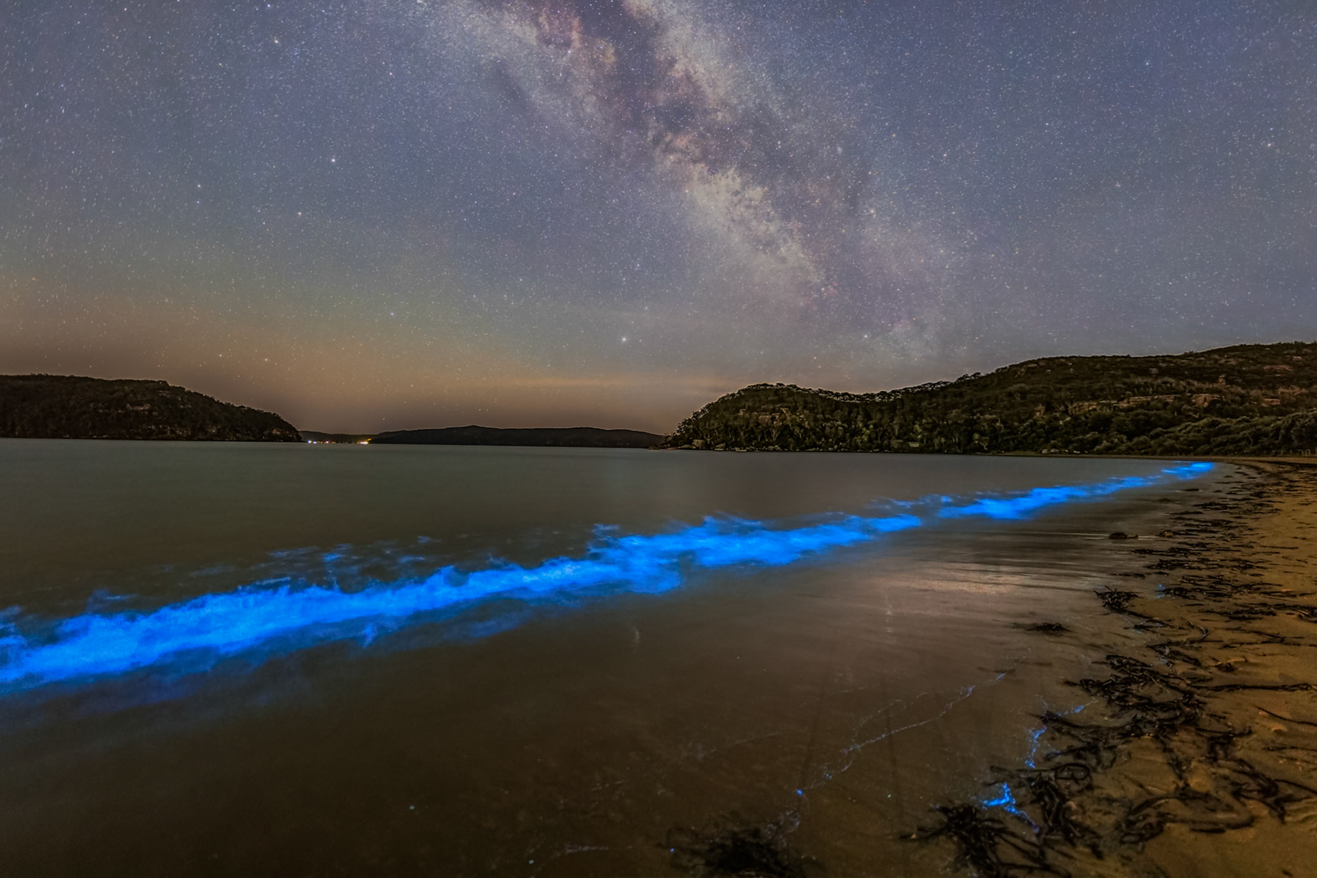 Milky Way and Bioluminescence at Palm Beach