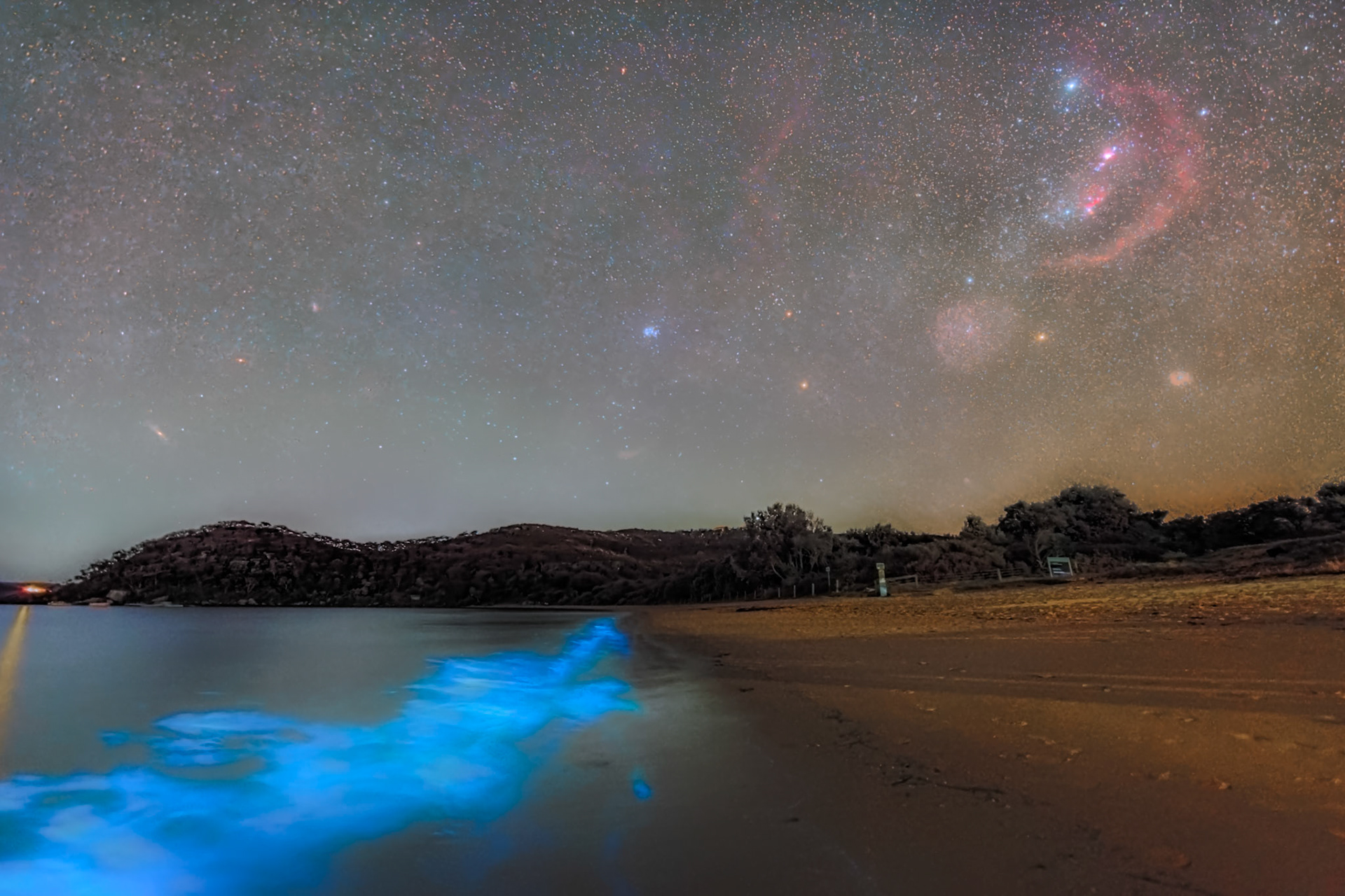 Orion over Bioluminecent Palm Beach