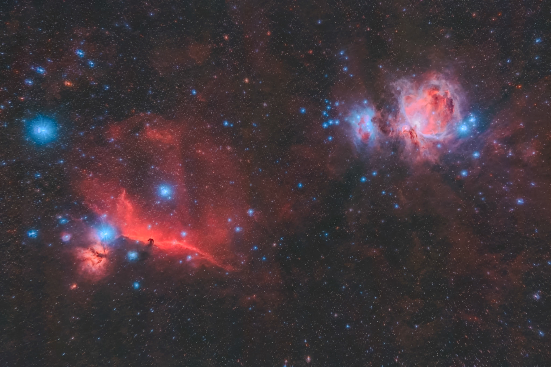 Wide Field Orion from Touts Lookout