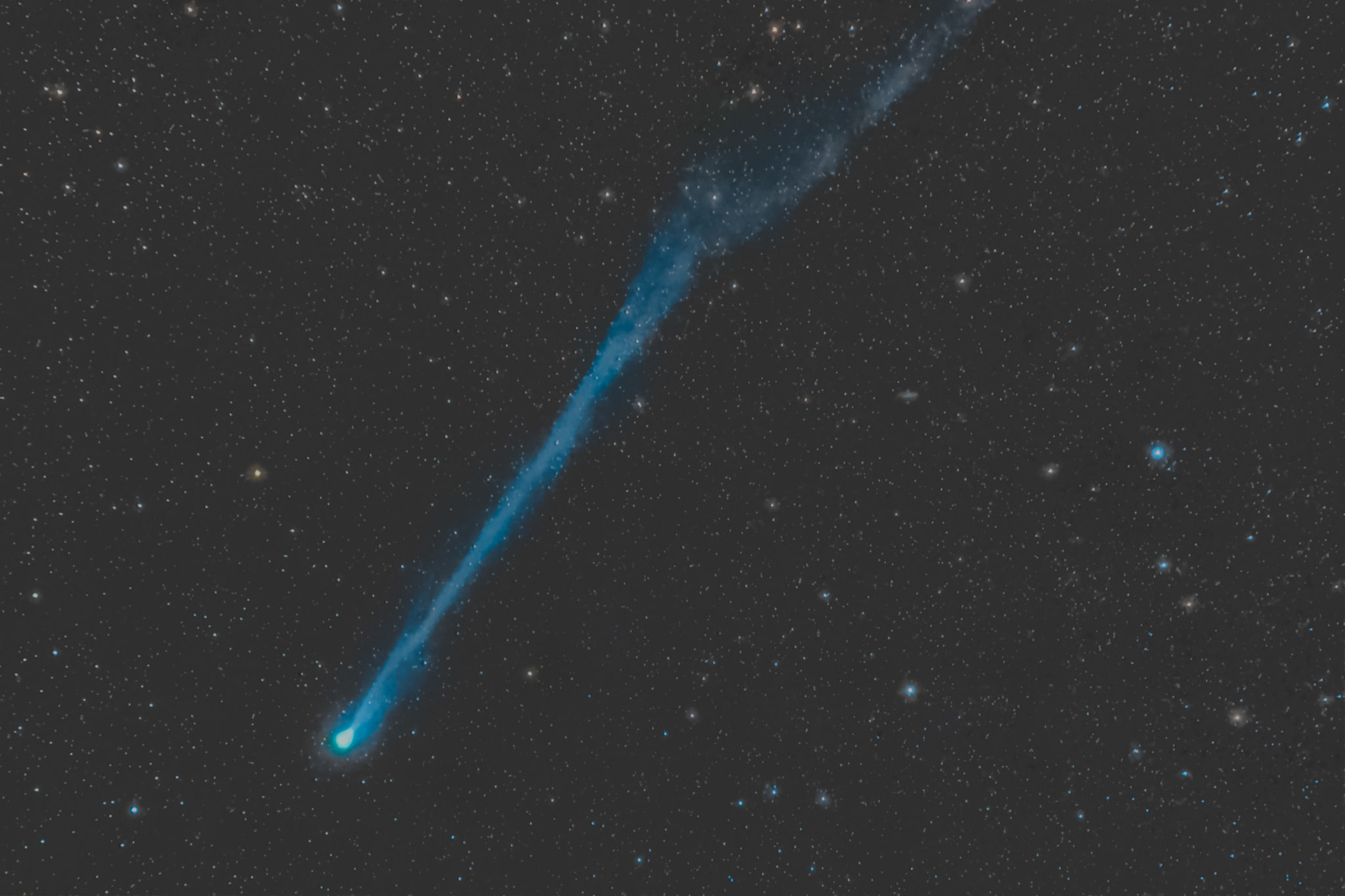 Comet C/2020 f8 SWAN from Palm Beach