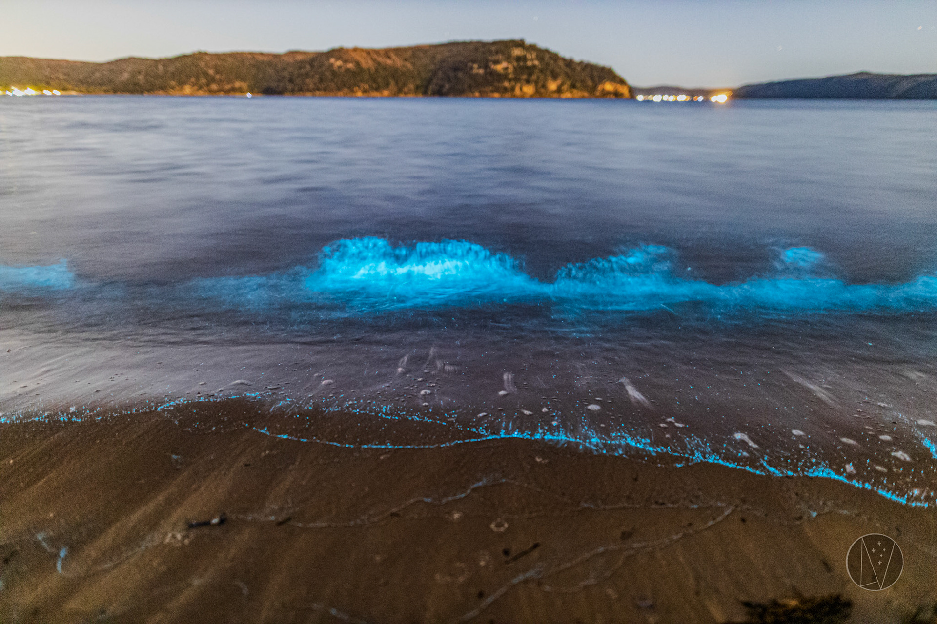 Bioluminescent Water at Palm Beach