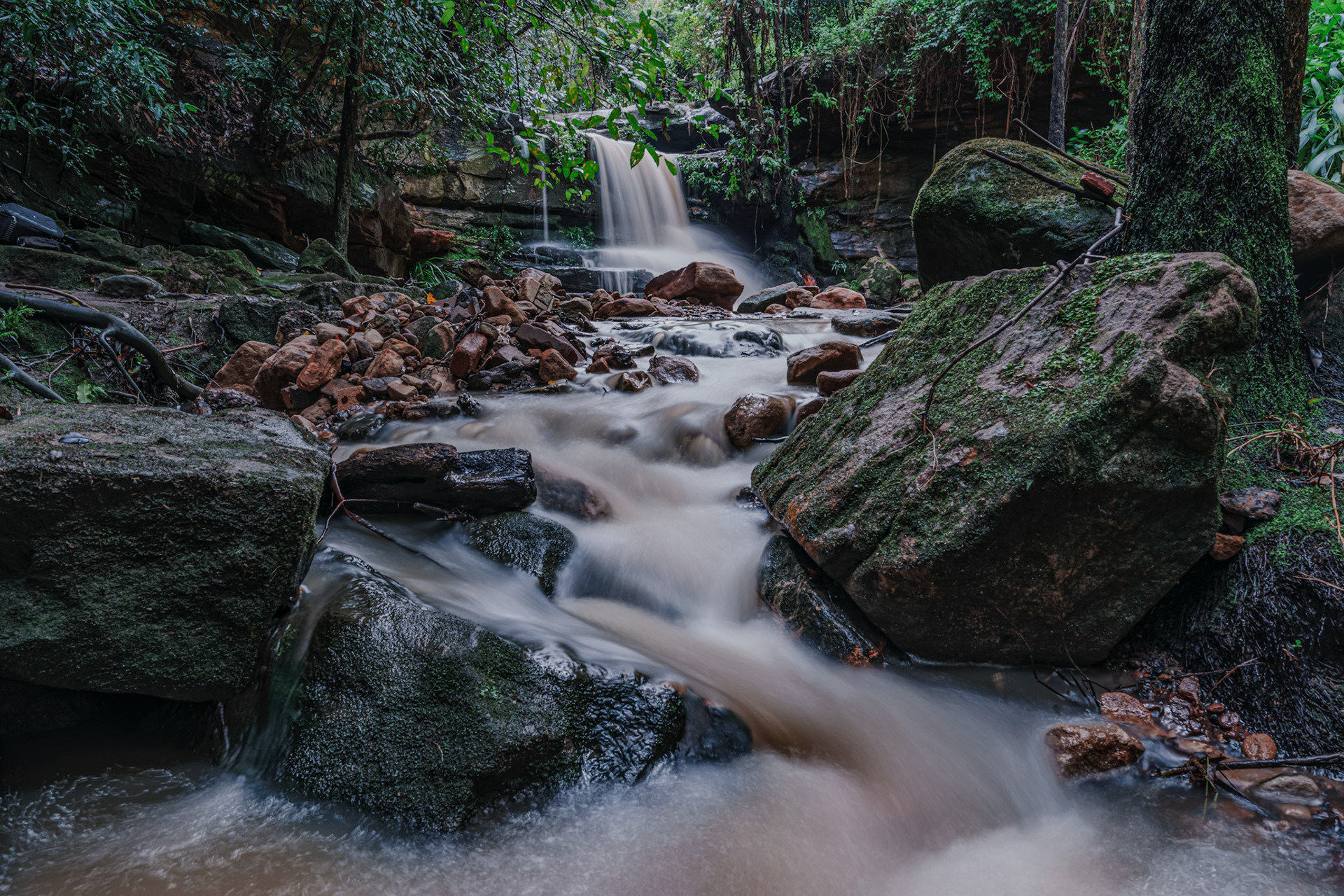 LillyPilly waterfall after weeks of rain