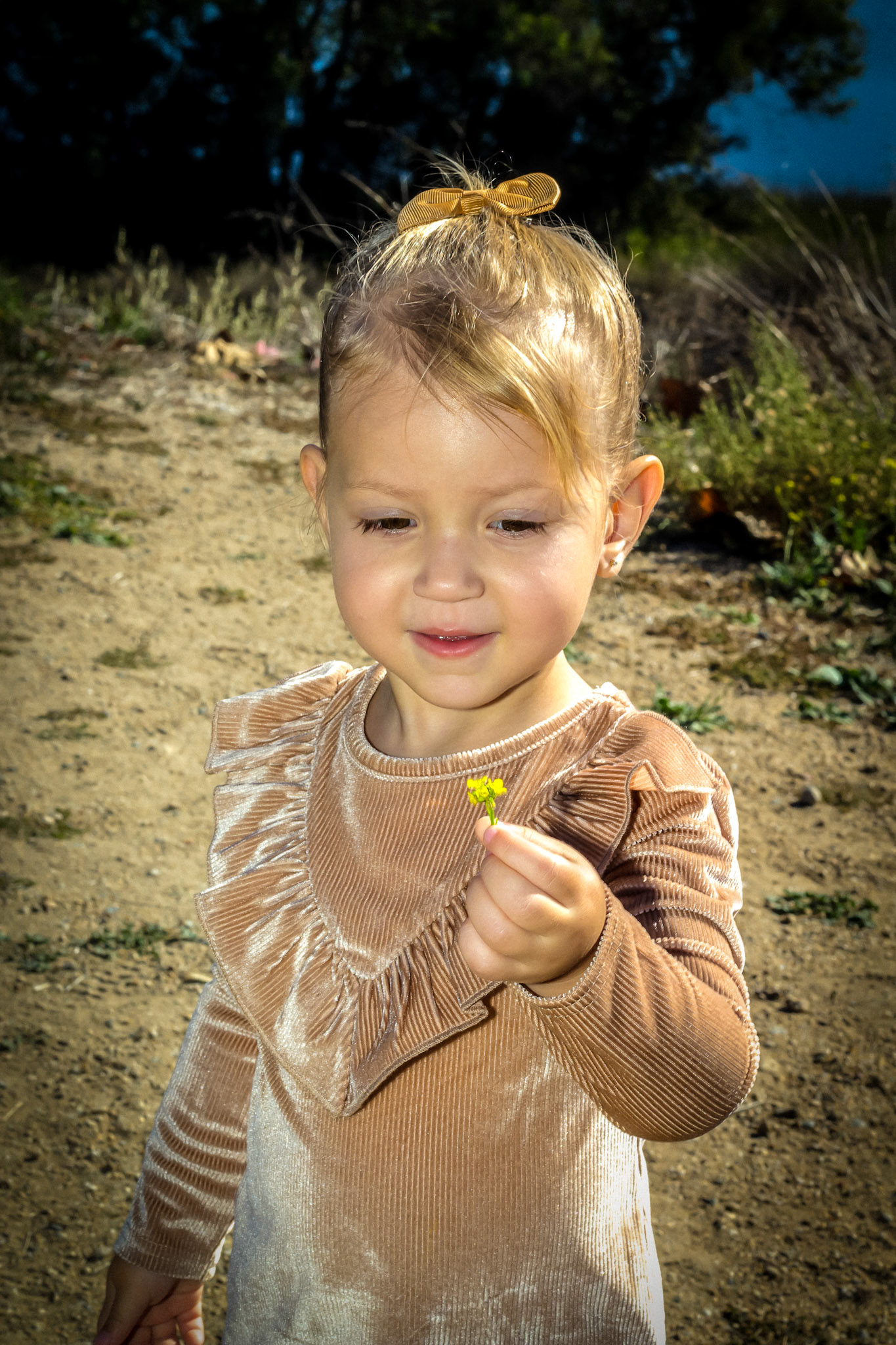Hansen Family Mini Session