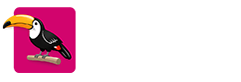 Studio Tolga