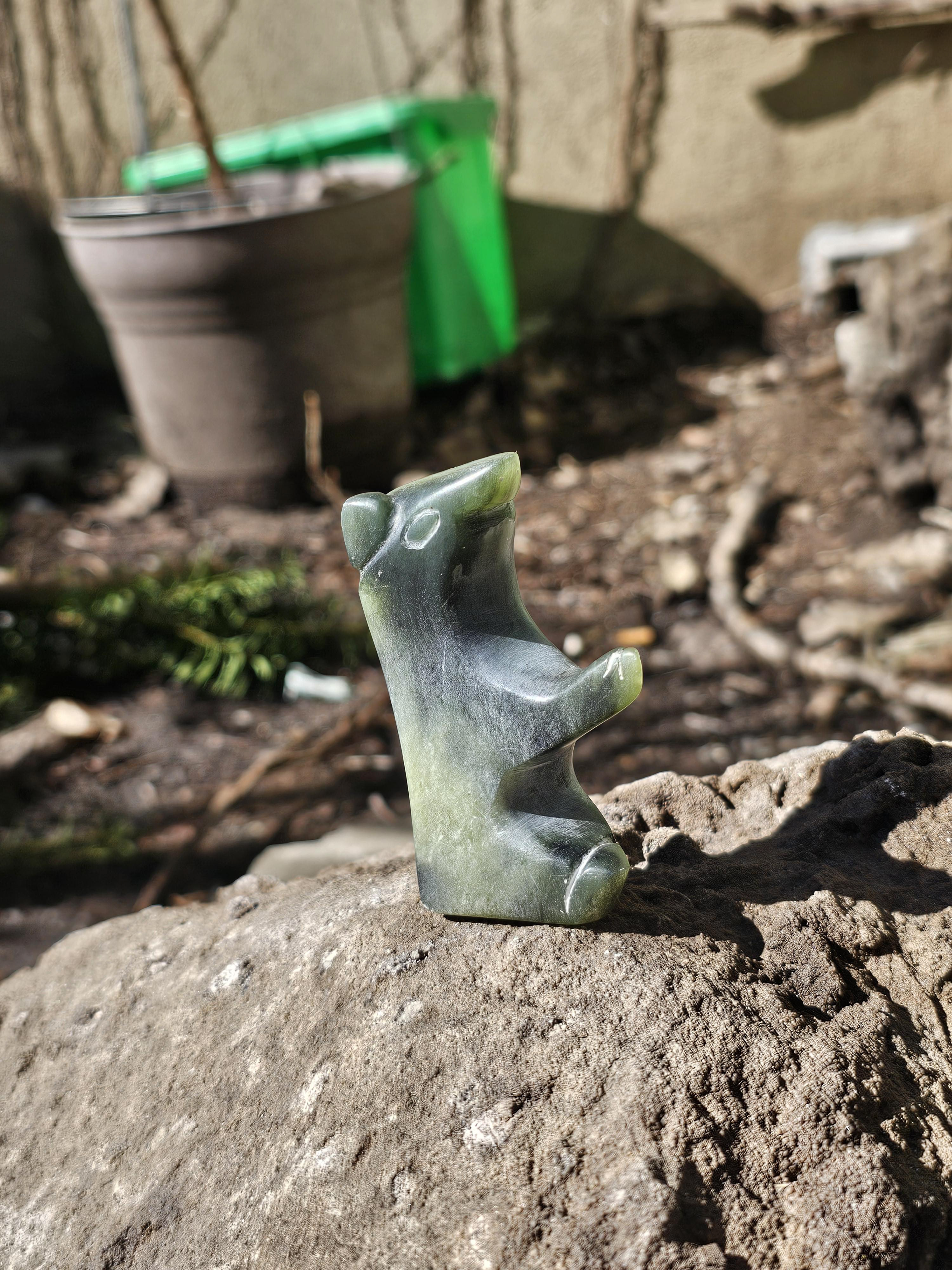 $50 bear