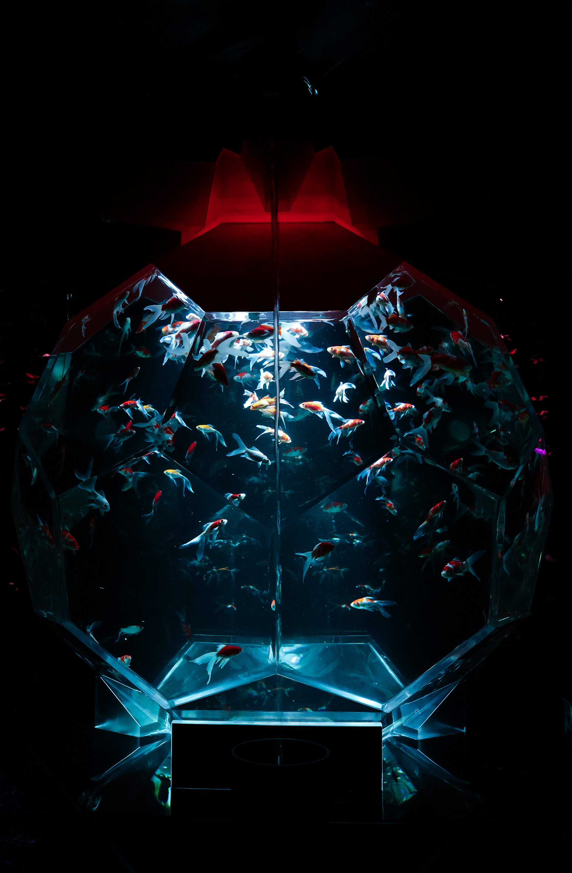 Ginza Art Aquarium, Tokyo, Japan