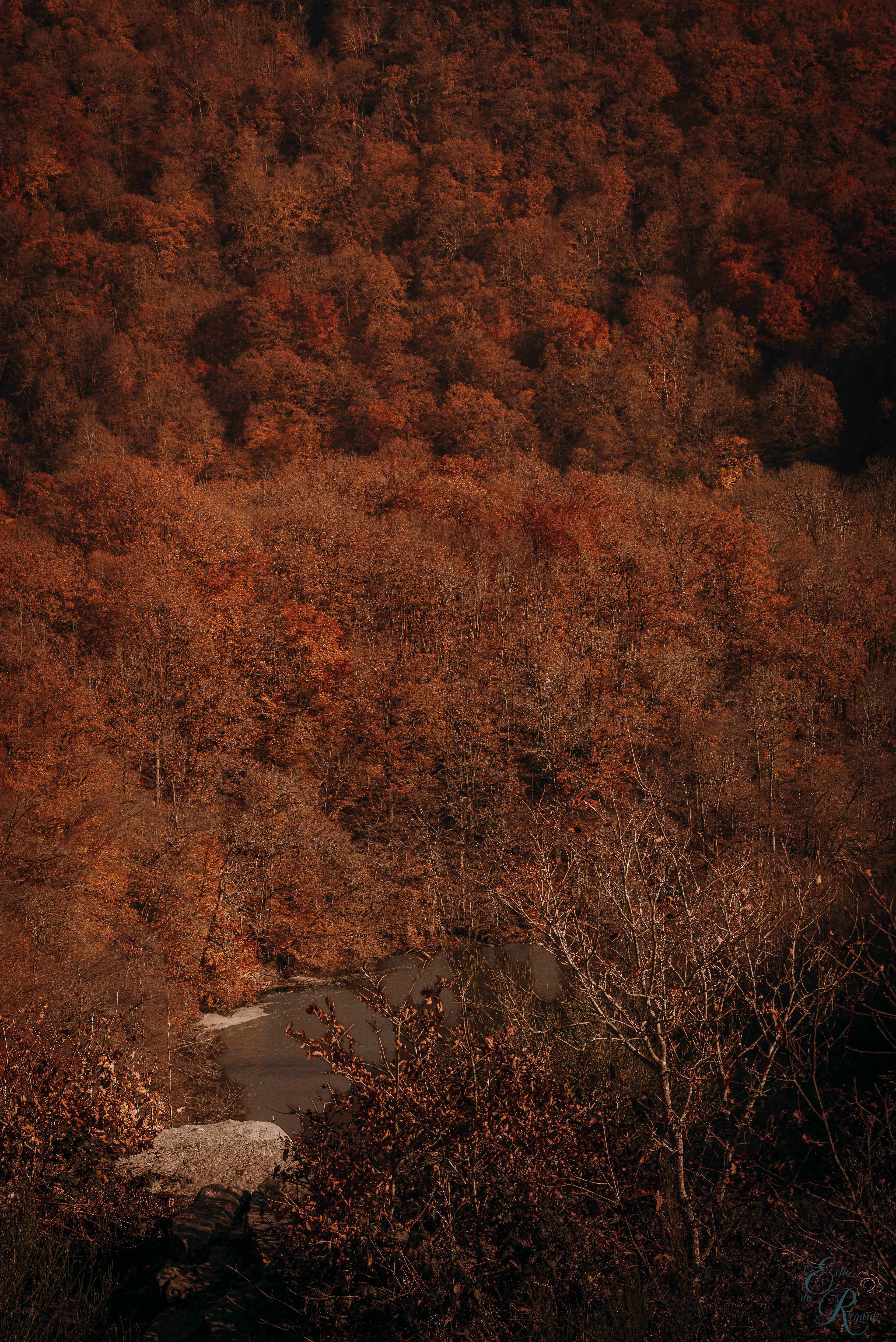 La Rivière de Feuillage