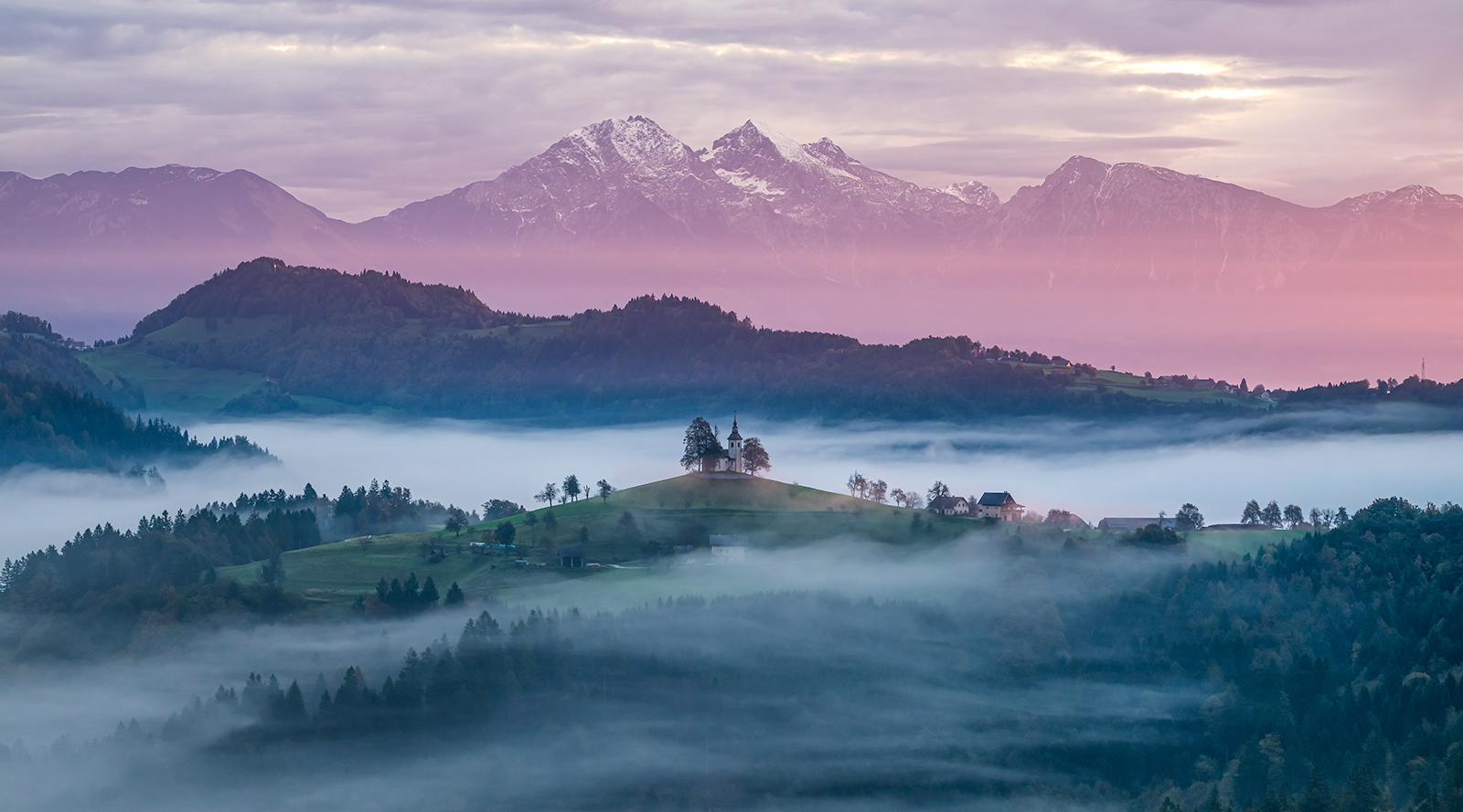 Sv Tomaž - Pink Dawn