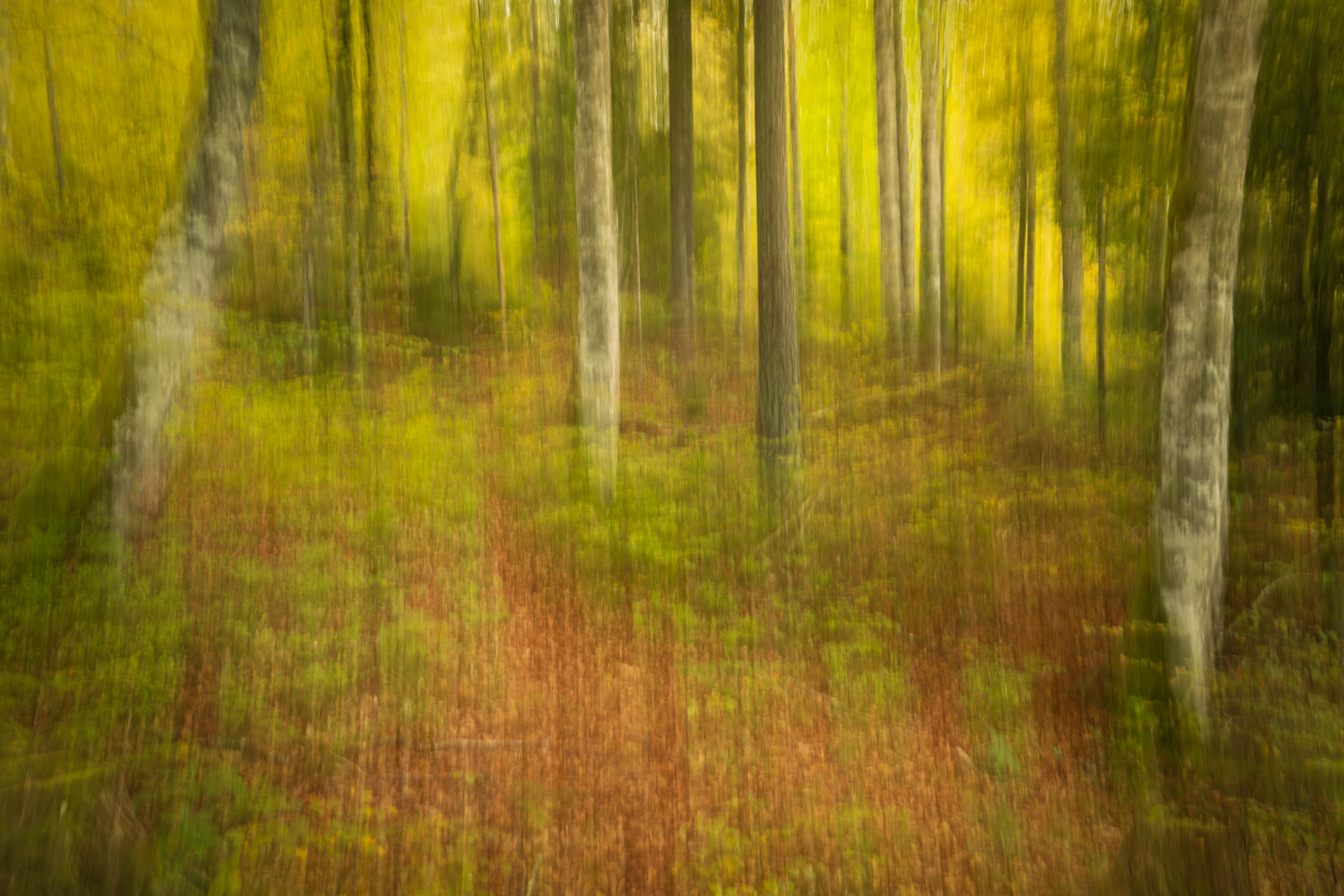 Lake Bohinj ICM