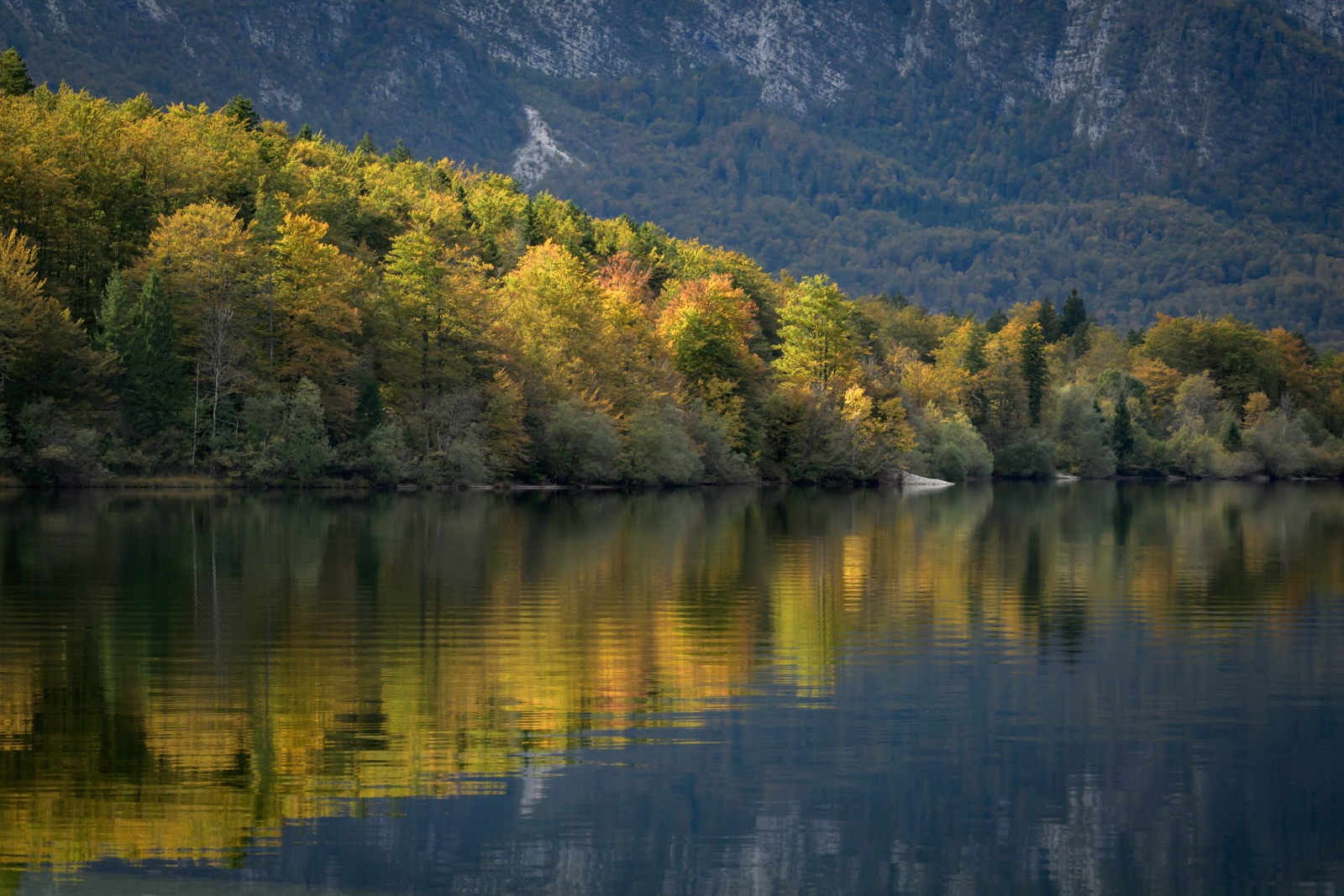 Lake Bohinj