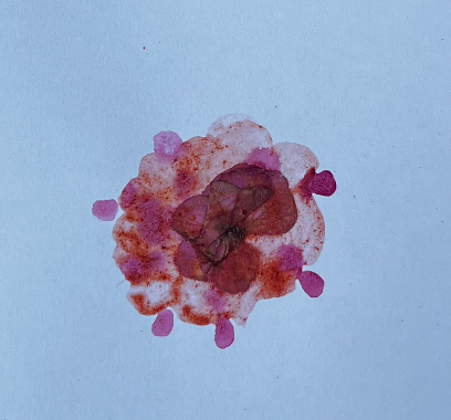 flower pressed by participant of the nature lab