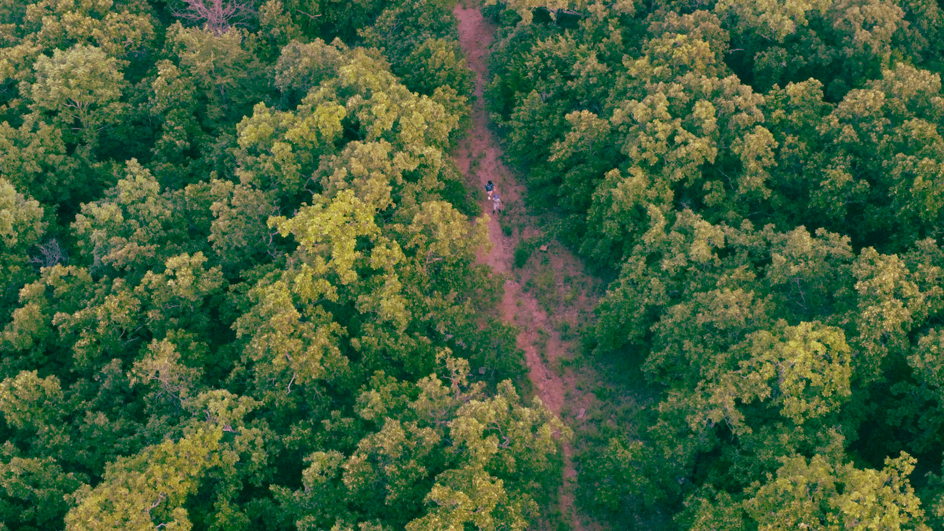 DCIM\100MEDIA\DJI_0177.JPG