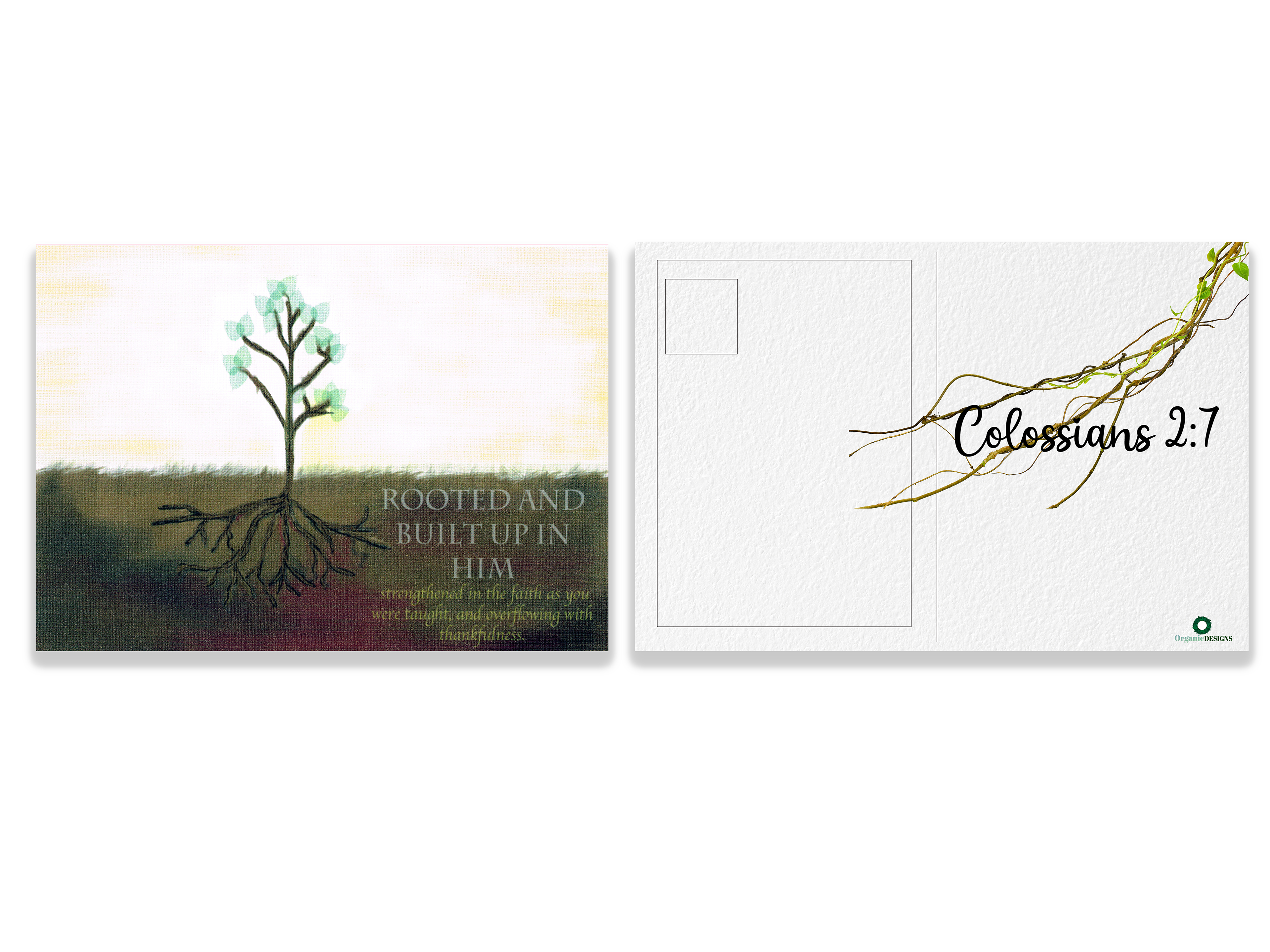 Rooted in him